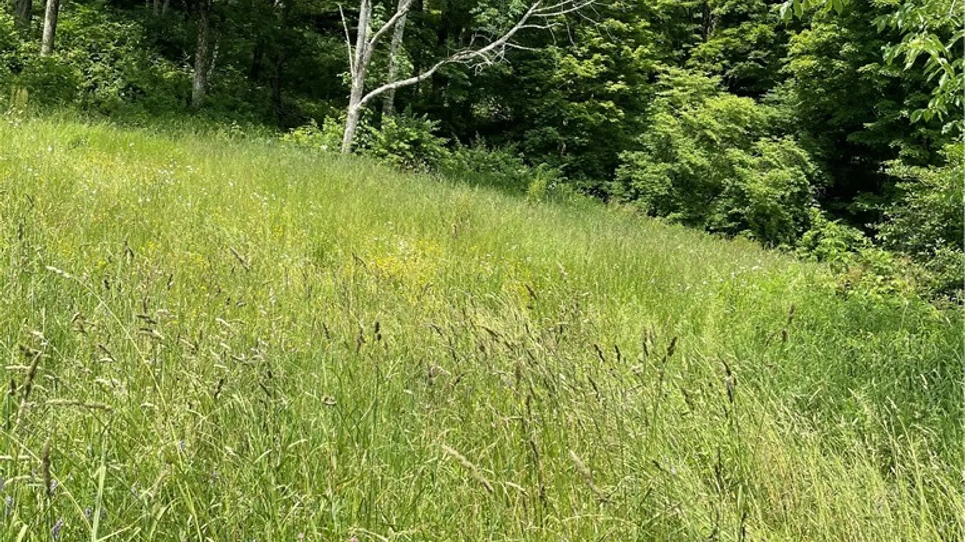 Property at 5140 North Tower Rd Road, Truxton, NY 13158 17