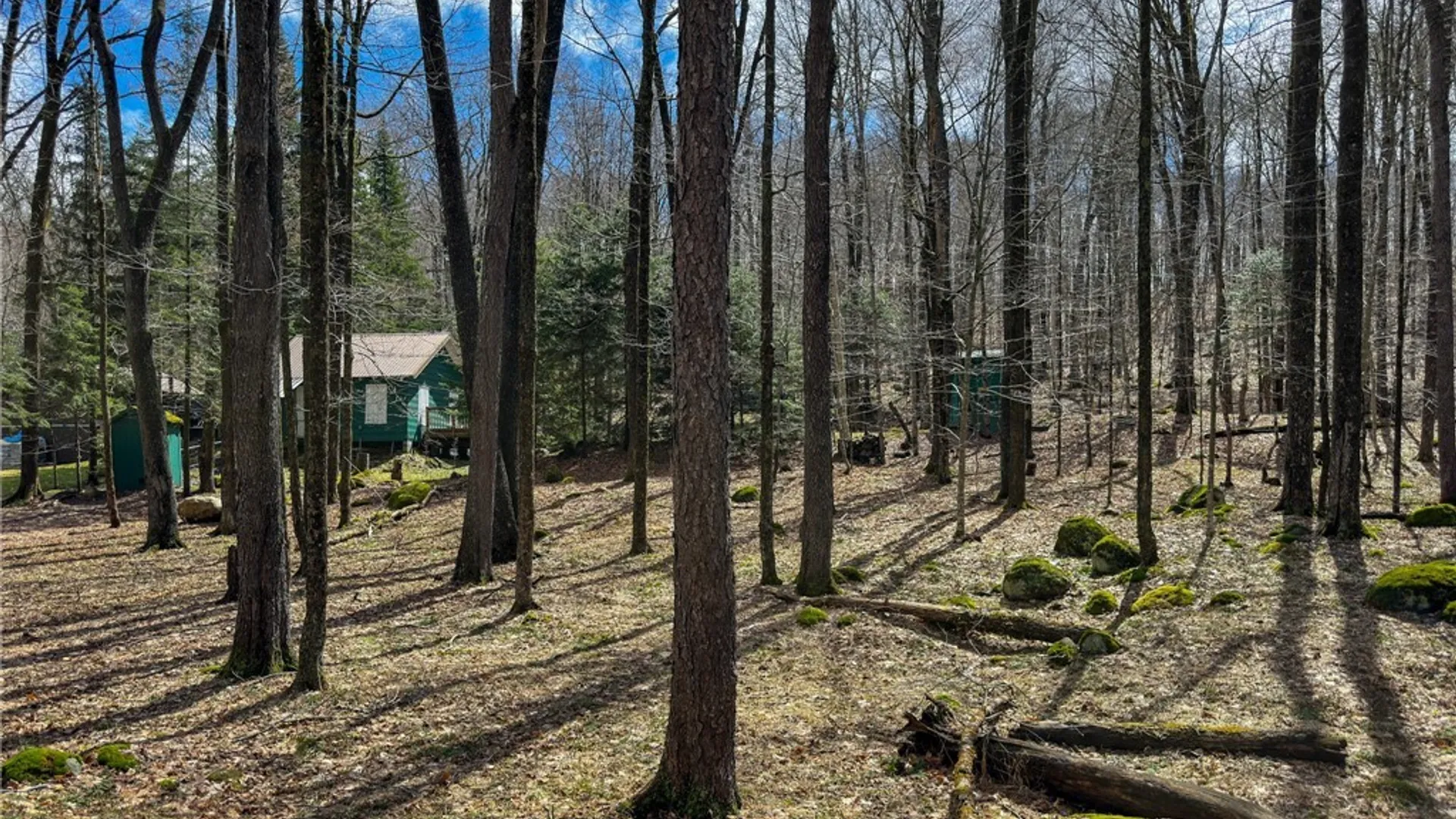 Property at 291 Joy Tract Road, Webb, NY 13420 24