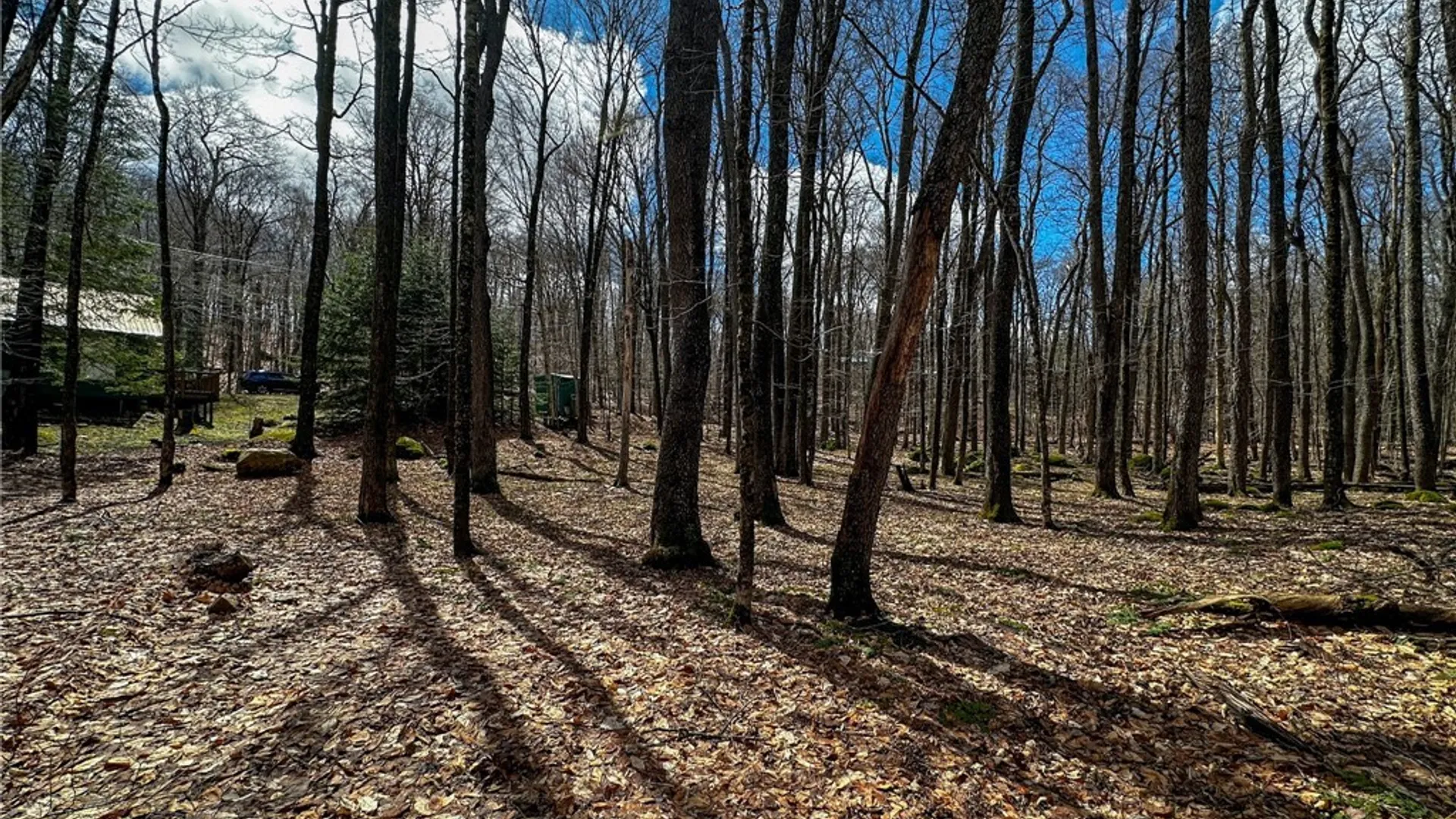 Property at 291 Joy Tract Road, Webb, NY 13420 26