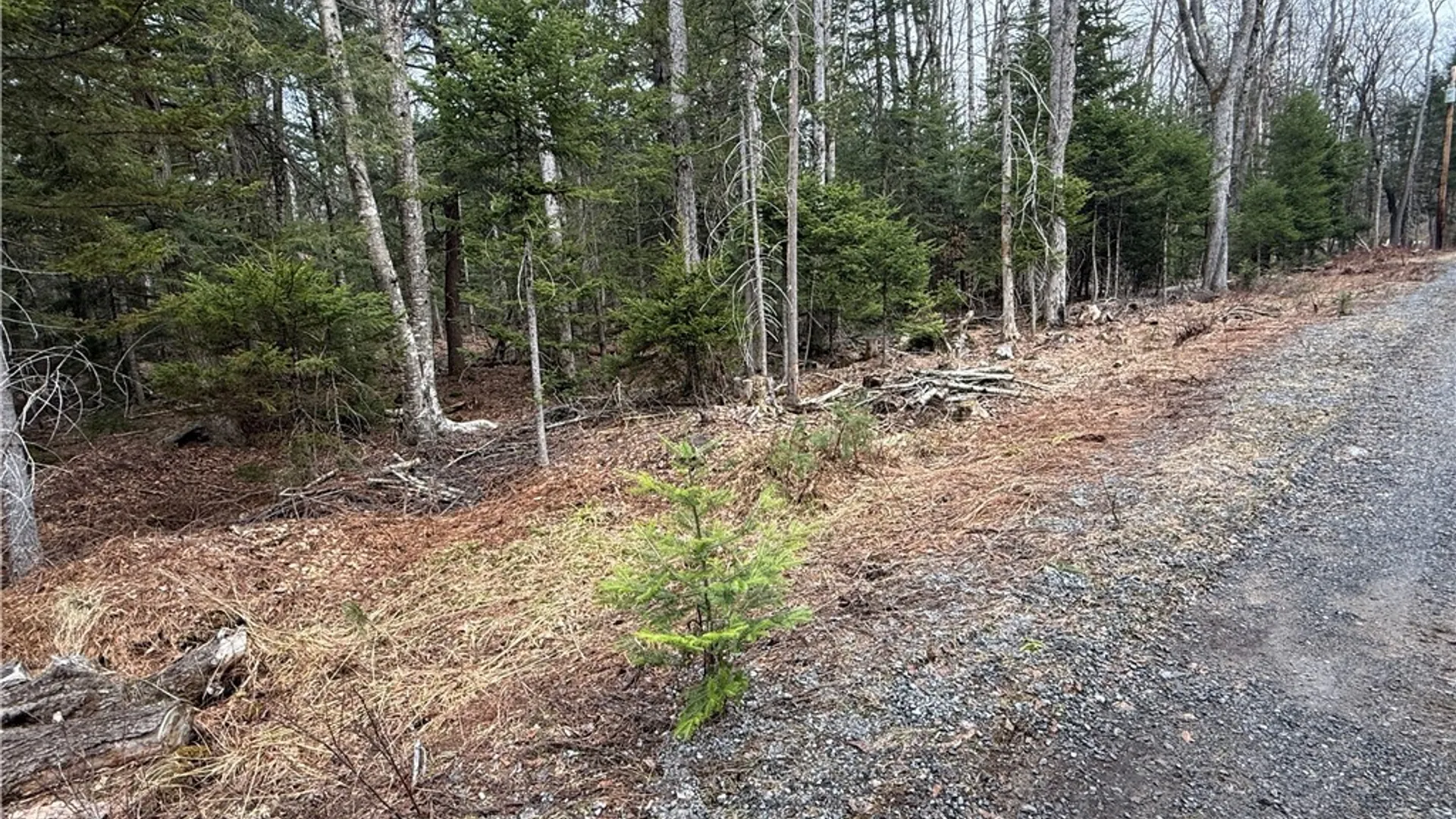 Property at Lot 96 West Rd., Forestport, NY 13338 10