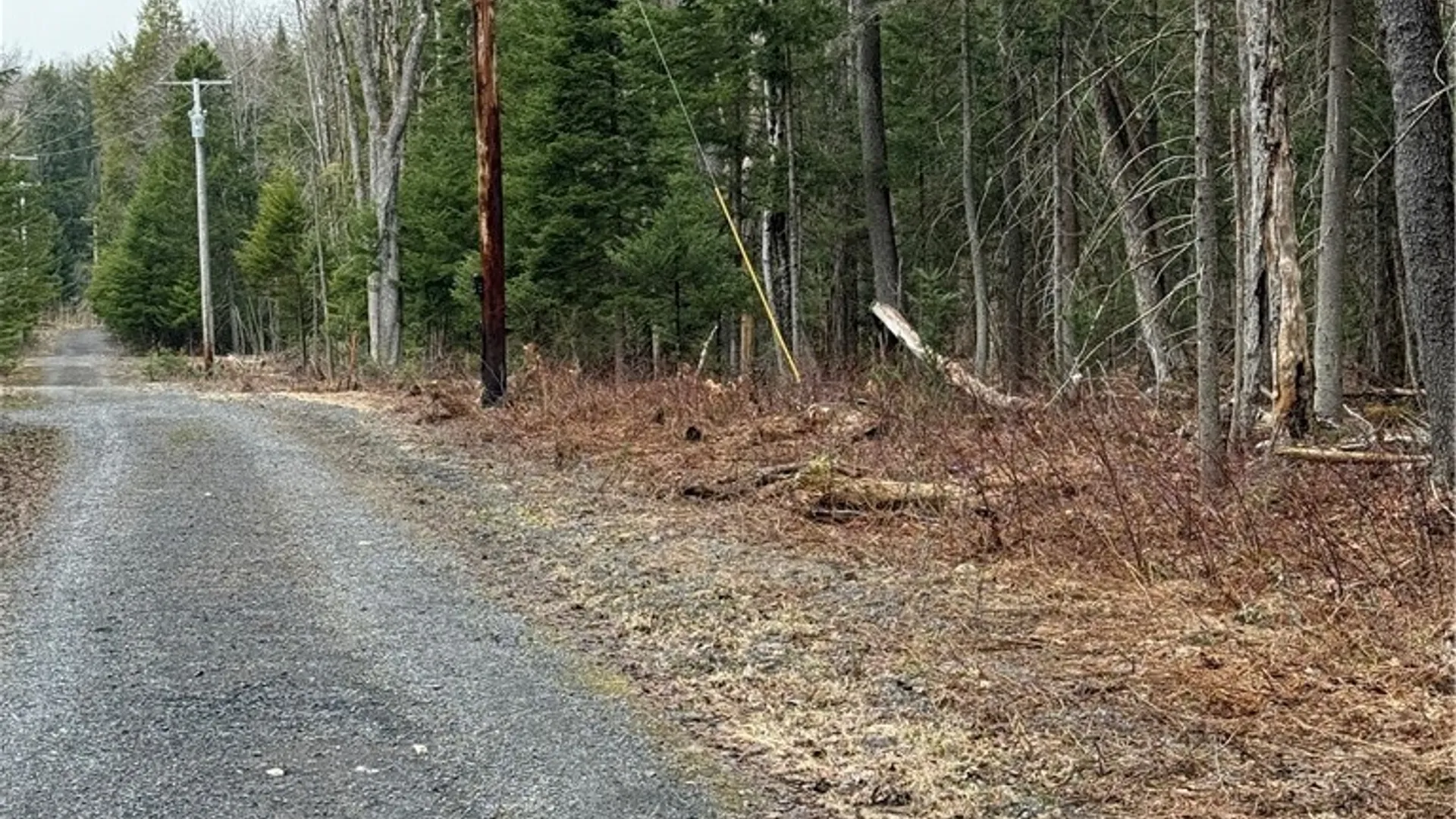 Property at Lot 96 West Rd., Forestport, NY 13338 11