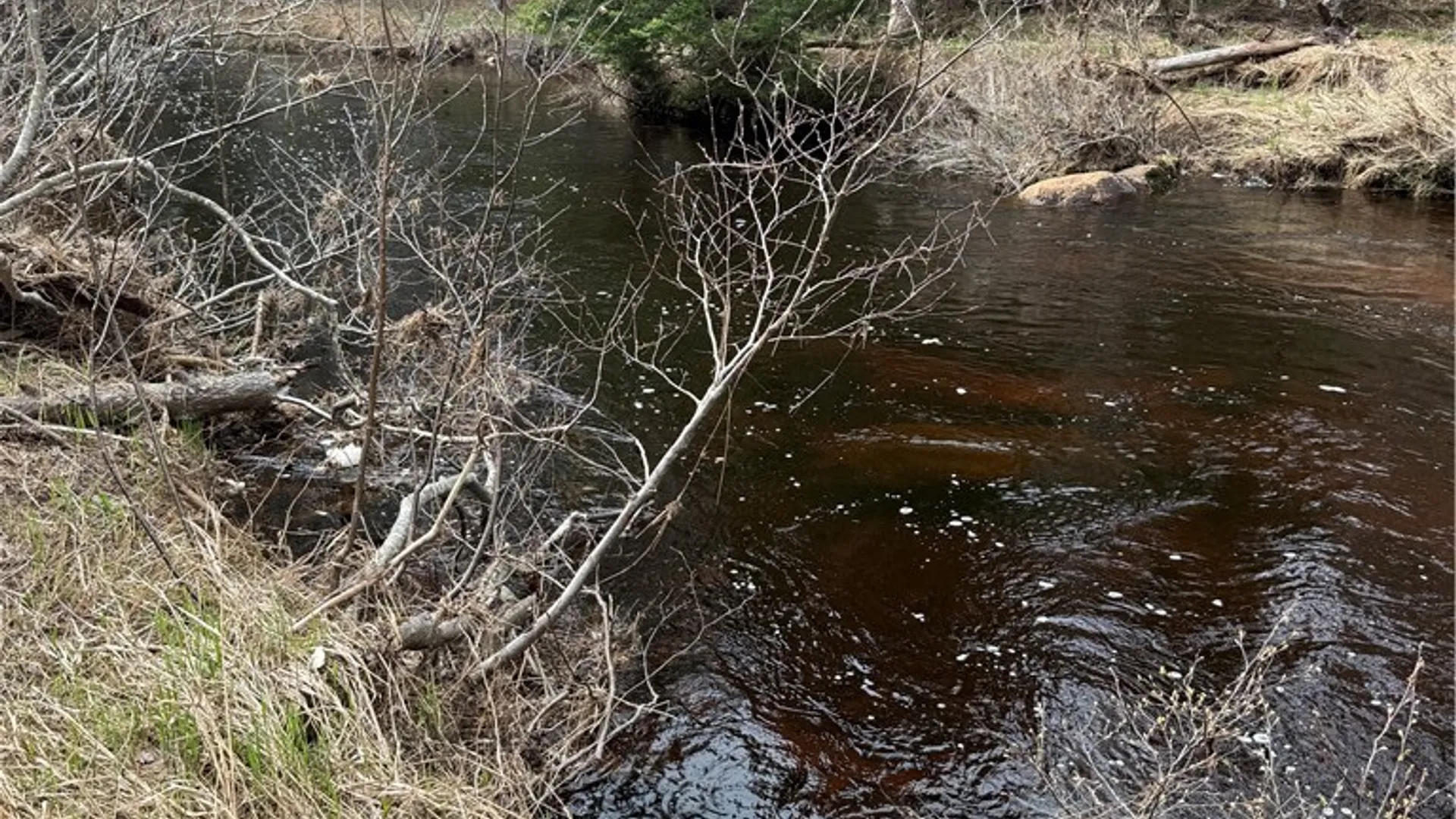 Property at Lot 96 West Rd., Forestport, NY 13338 2