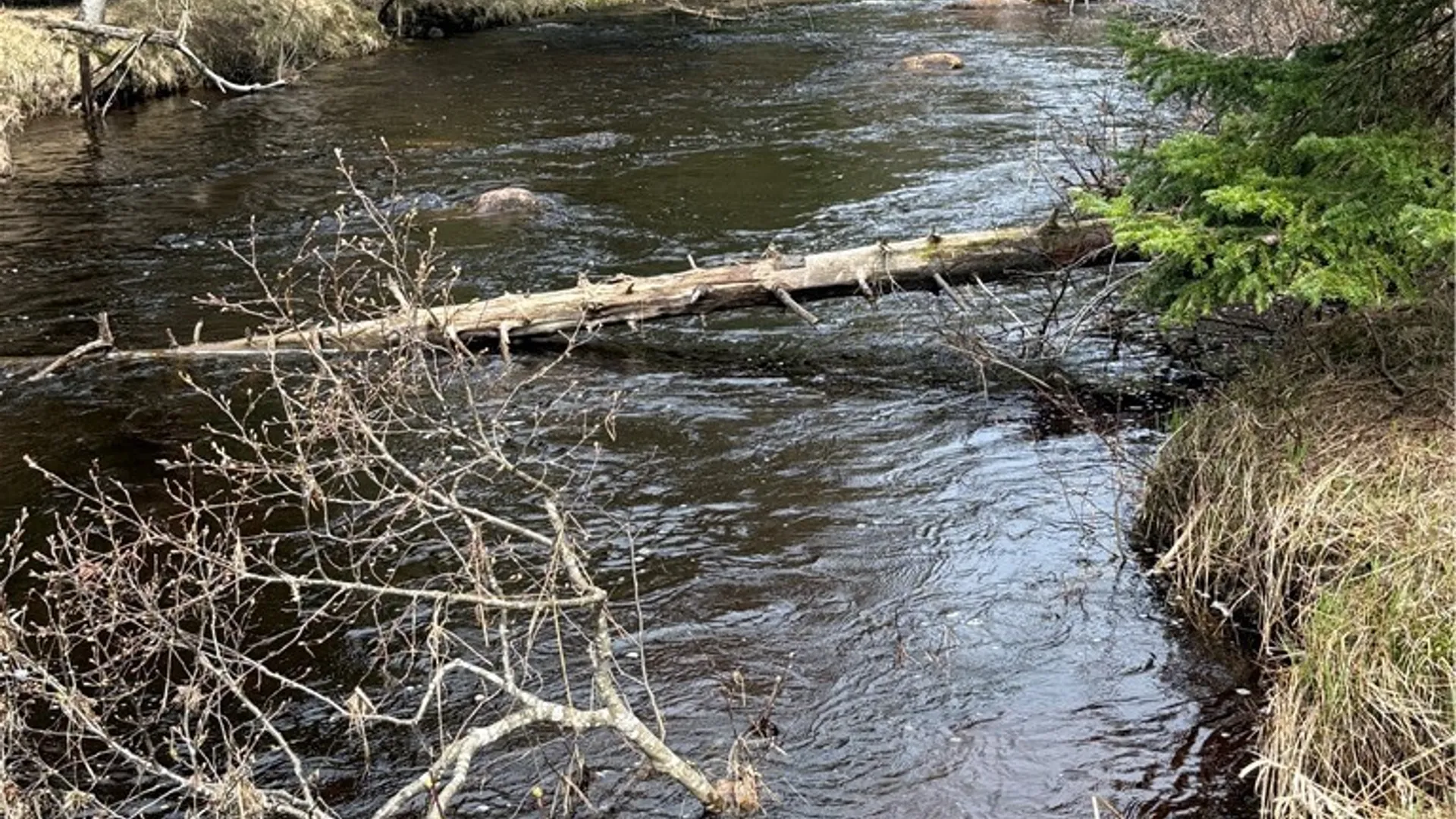 Property at Lot 96 West Rd., Forestport, NY 13338 3