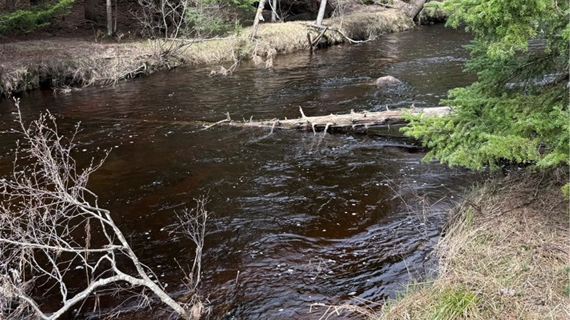 Property at Lot 96 West Rd., Forestport, NY 13338 4