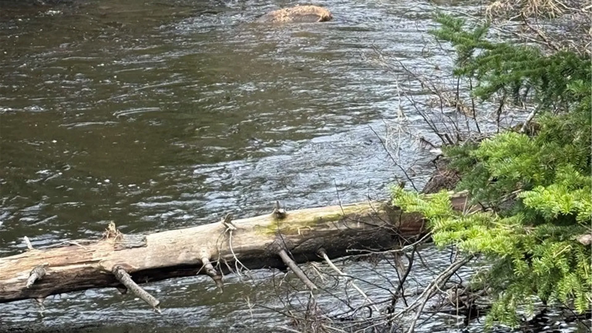 Property at Lot 96 West Rd., Forestport, NY 13338 5