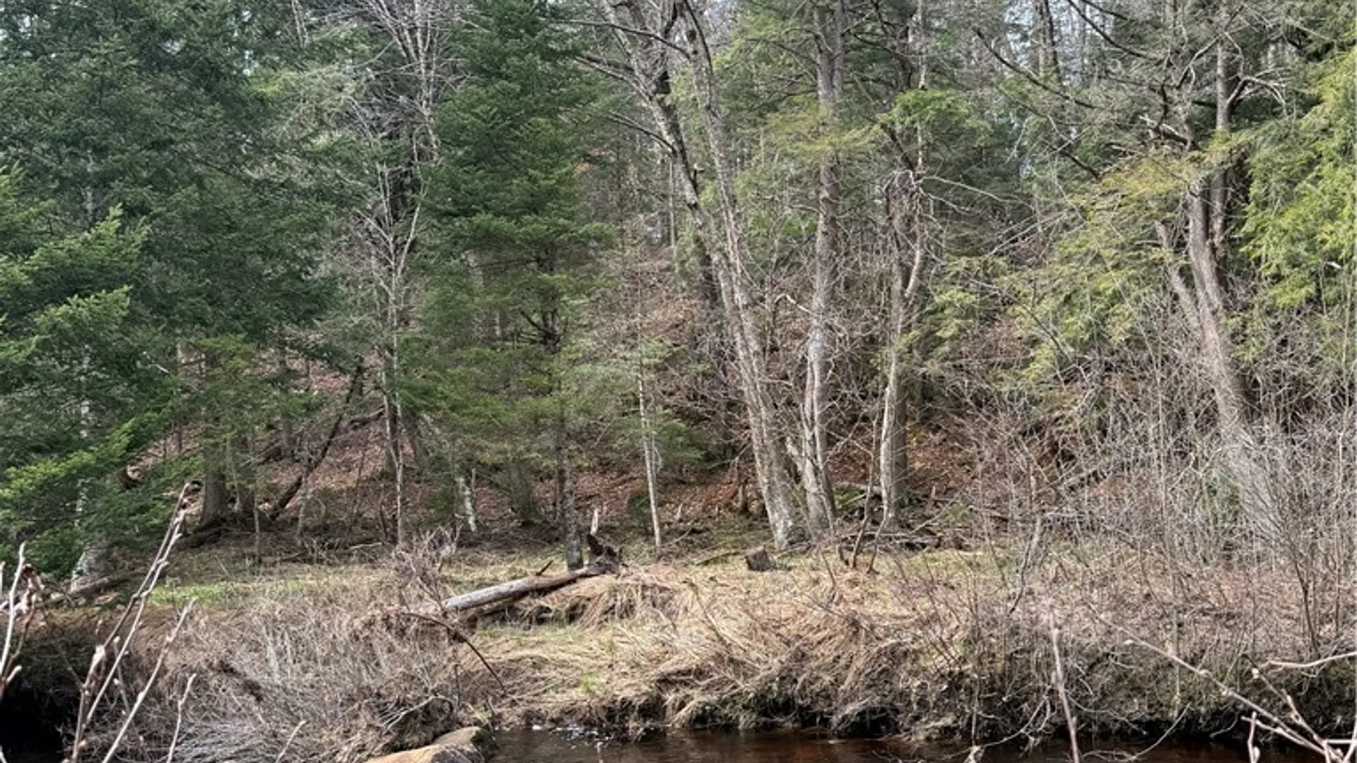 Property at Lot 96 West Rd., Forestport, NY 13338 6