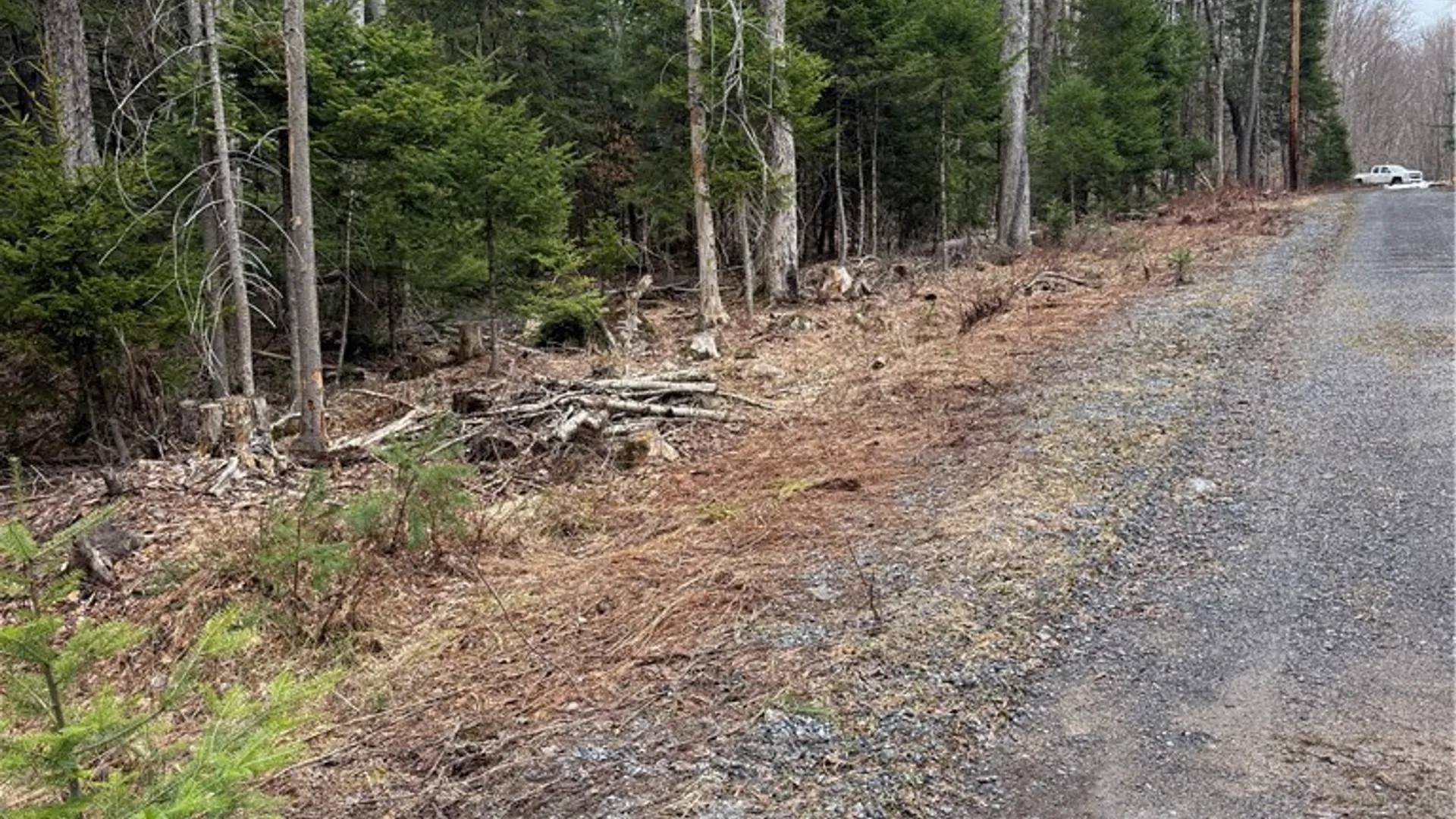 Property at Lot 96 West Rd., Forestport, NY 13338 7