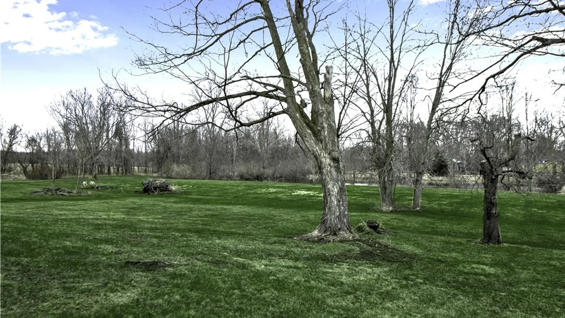 Property at 1359 Transit Road, Kendall, NY 14477 24