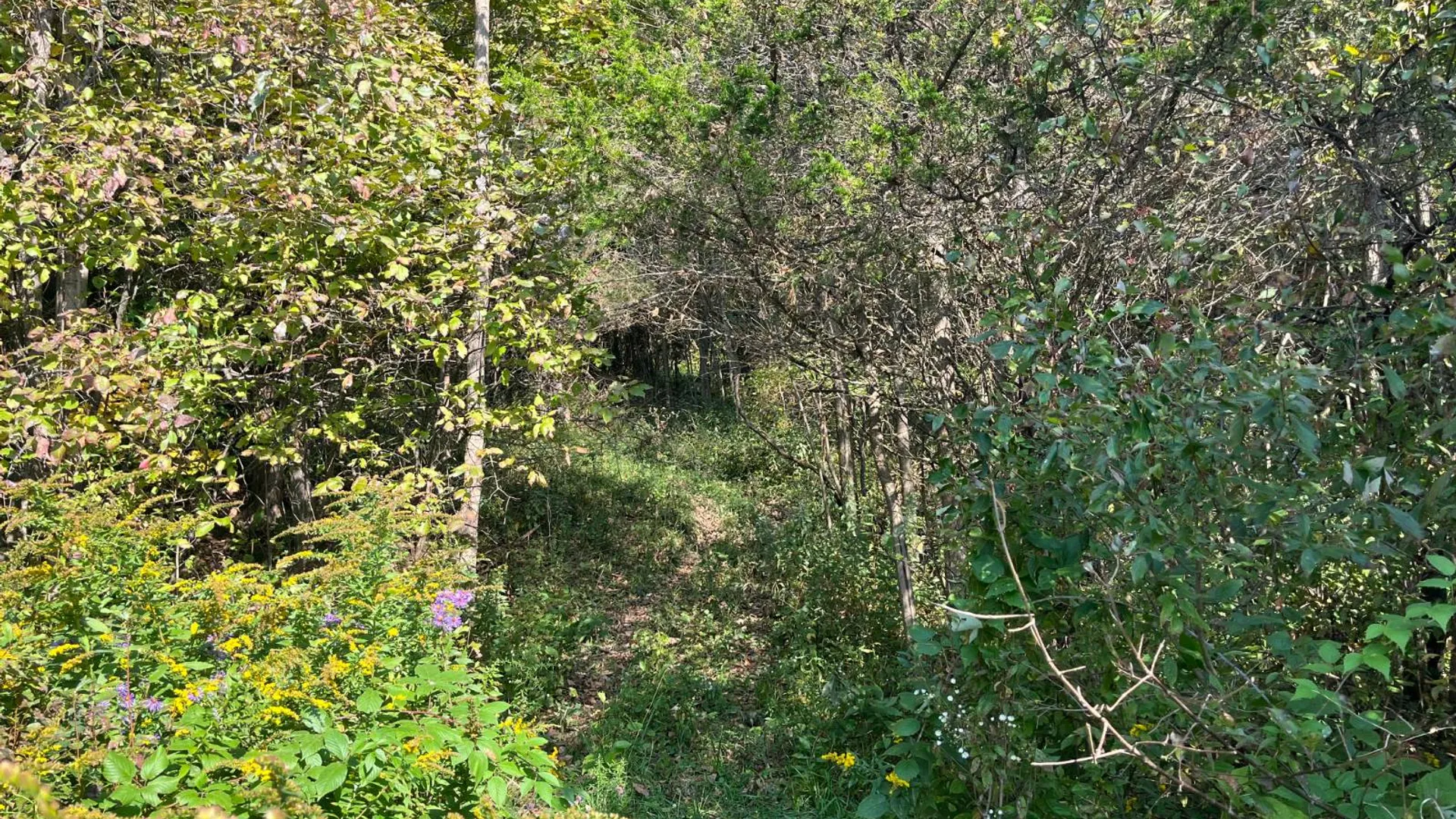 Property at 36432 County Route 22, Antwerp, NY 13608 15