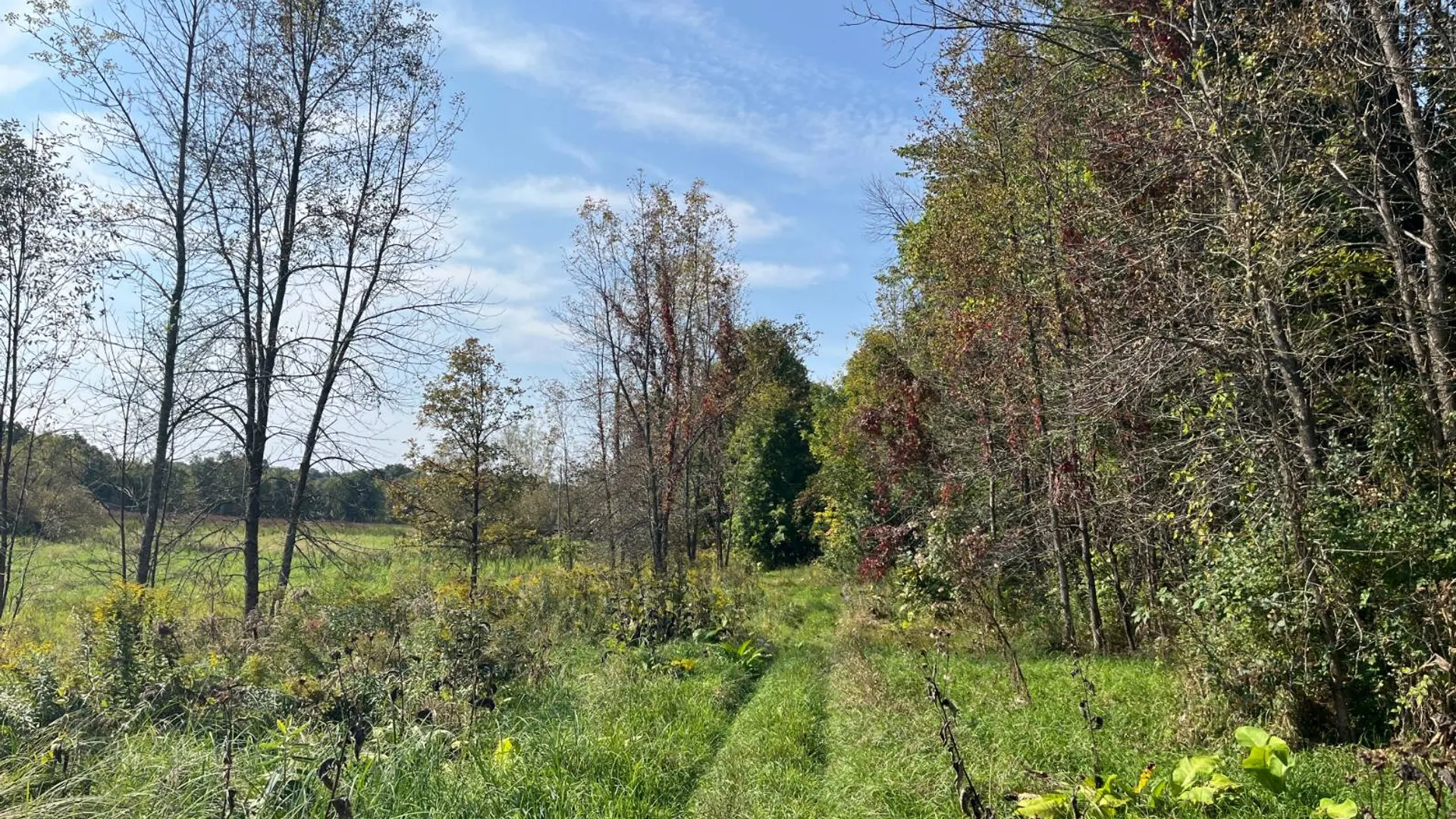 Property at 36432 County Route 22, Antwerp, NY 13608 16