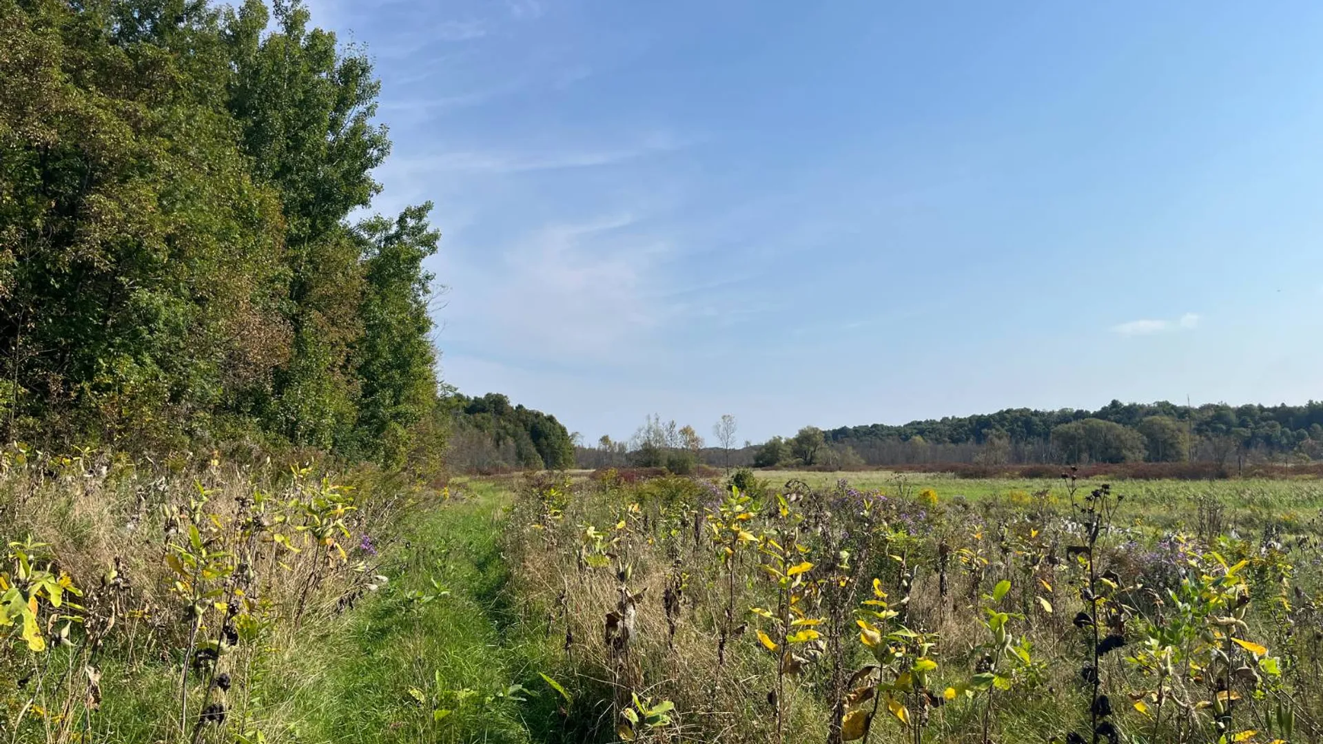Property at 36432 County Route 22, Antwerp, NY 13608 18