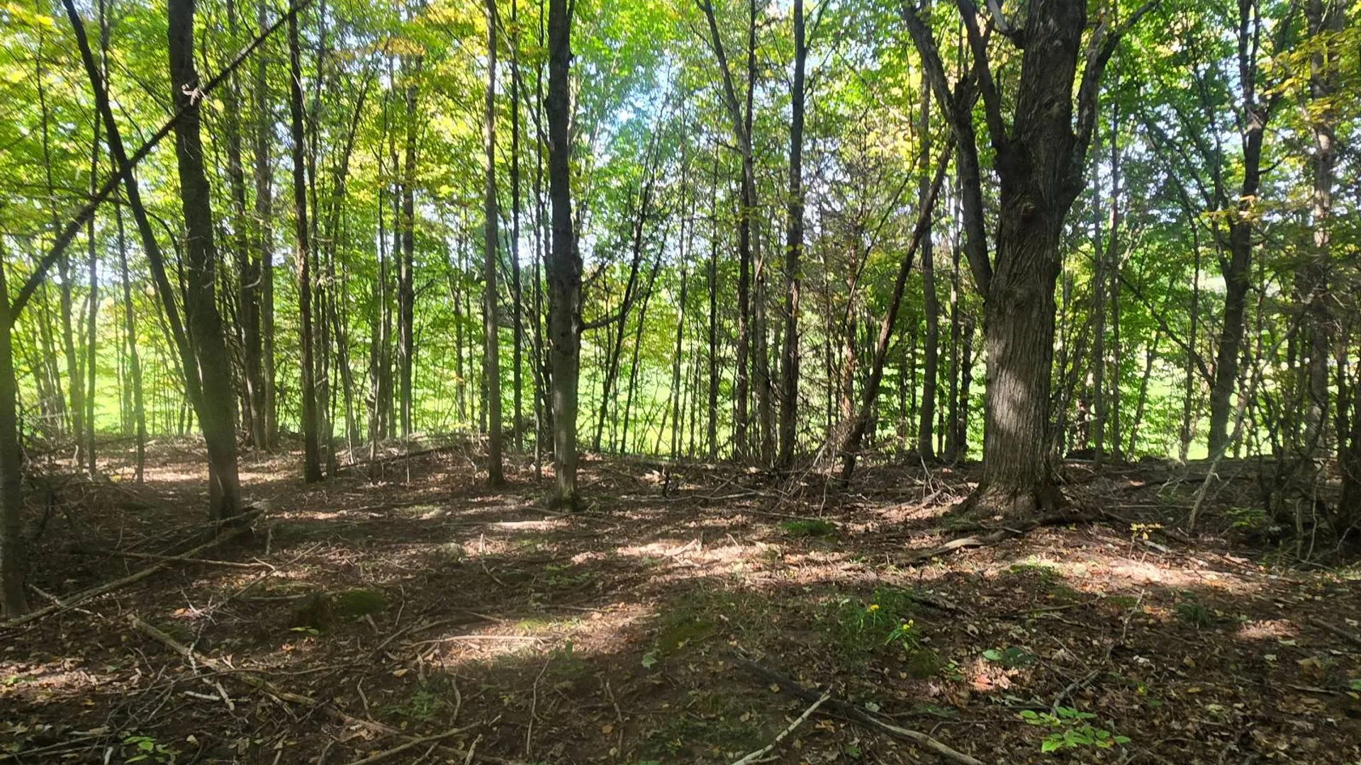 Property at 36432 County Route 22, Antwerp, NY 13608 7