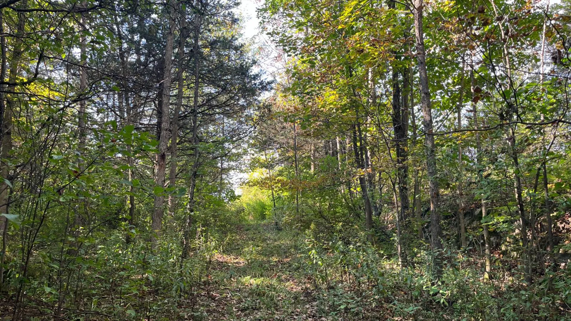 Property at 36432 County Route 22, Antwerp, NY 13608 8