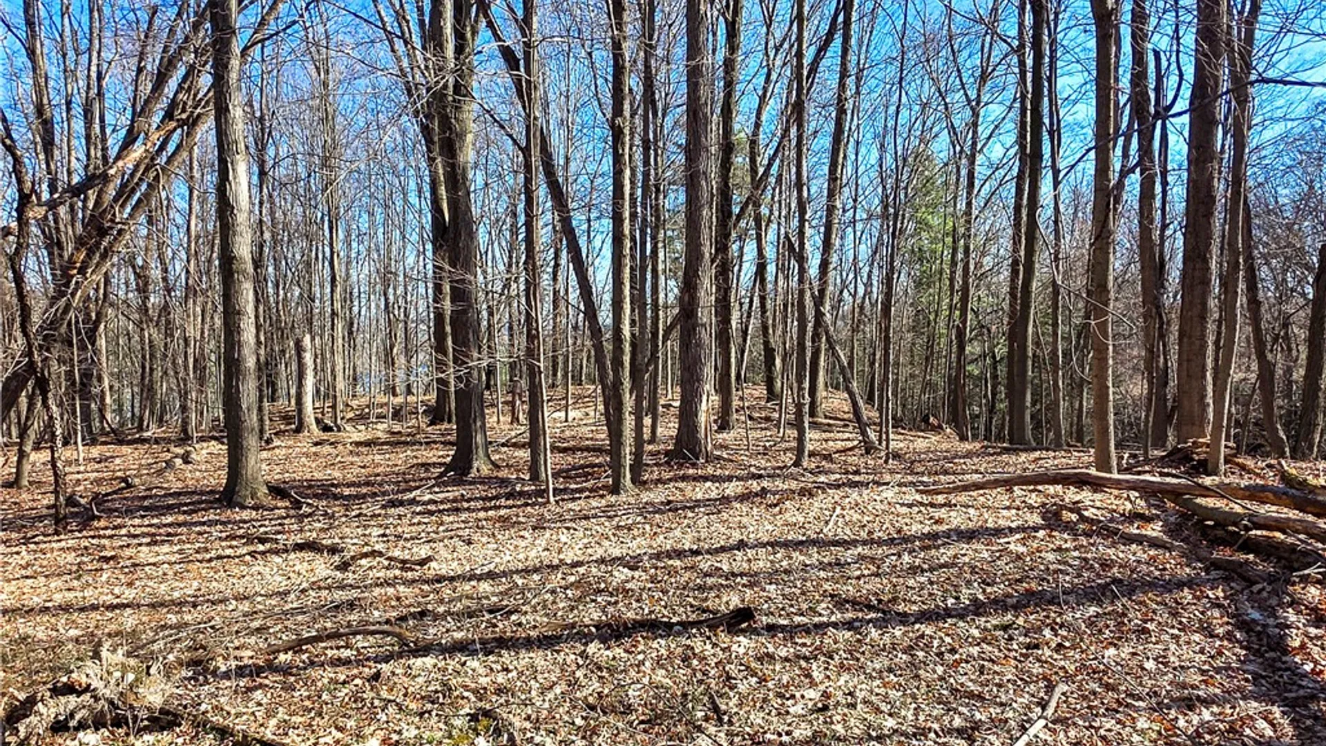 Property at County Route 87 Road, Urbana, NY 14840 13