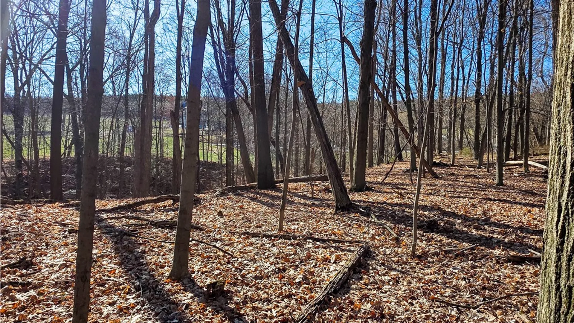 Property at County Route 87 Road, Urbana, NY 14840 15