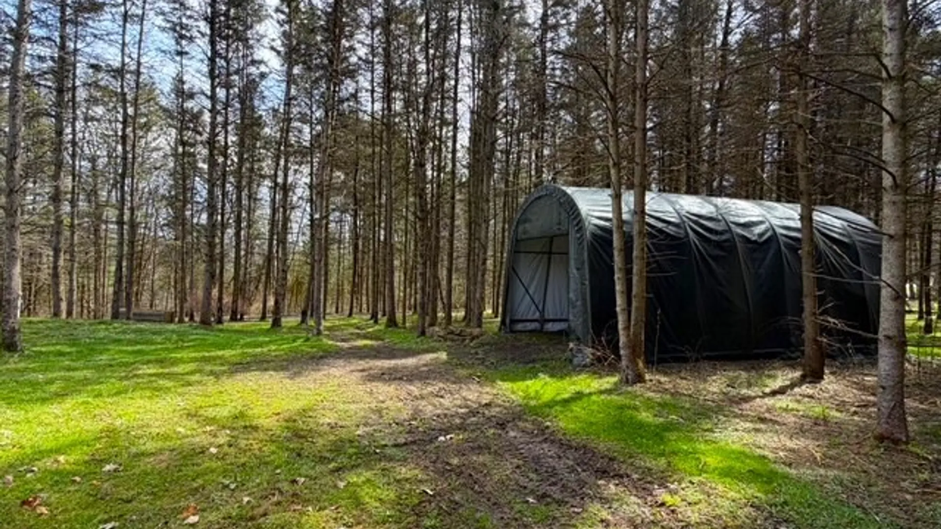 Property at 3453 Dutton, Clarksville, NY 14727 23