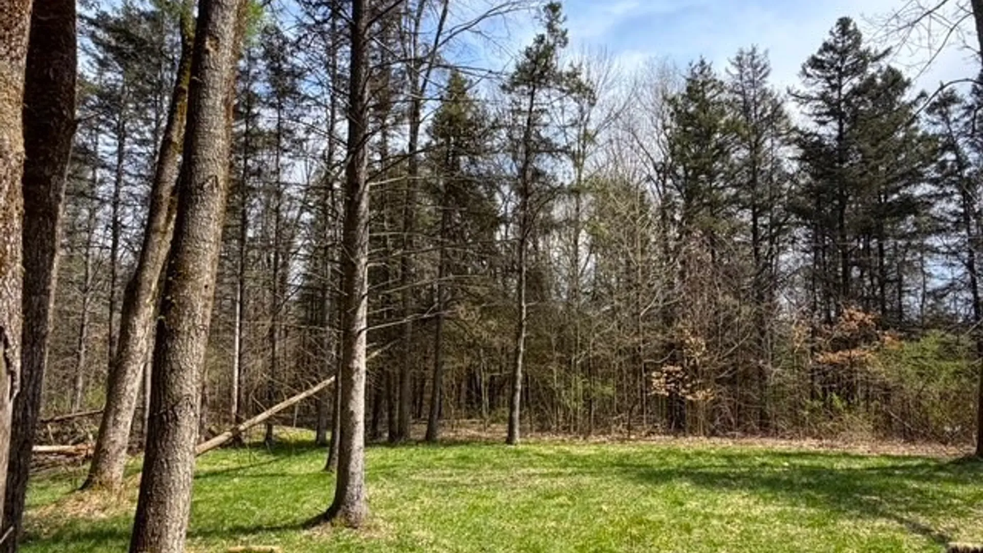 Property at 3453 Dutton, Clarksville, NY 14727 24