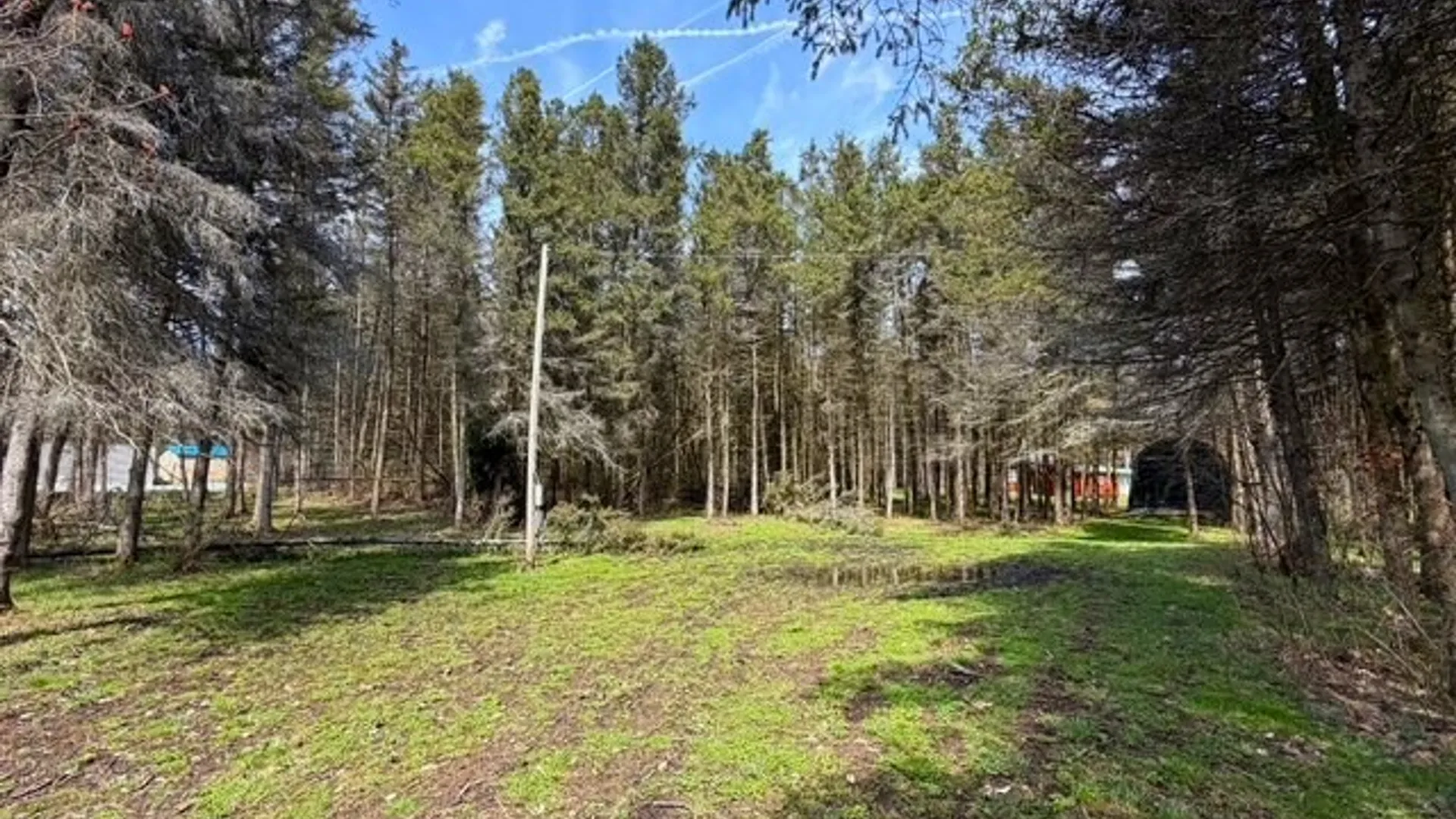 Property at 3453 Dutton, Clarksville, NY 14727 25