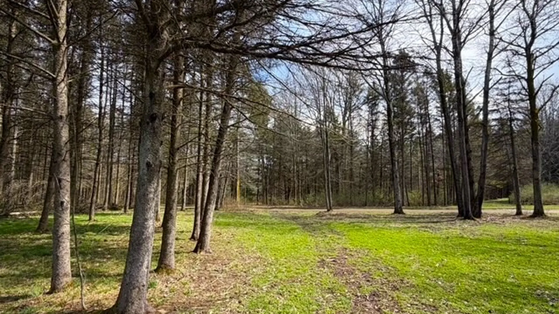 Property at 3453 Dutton, Clarksville, NY 14727 26