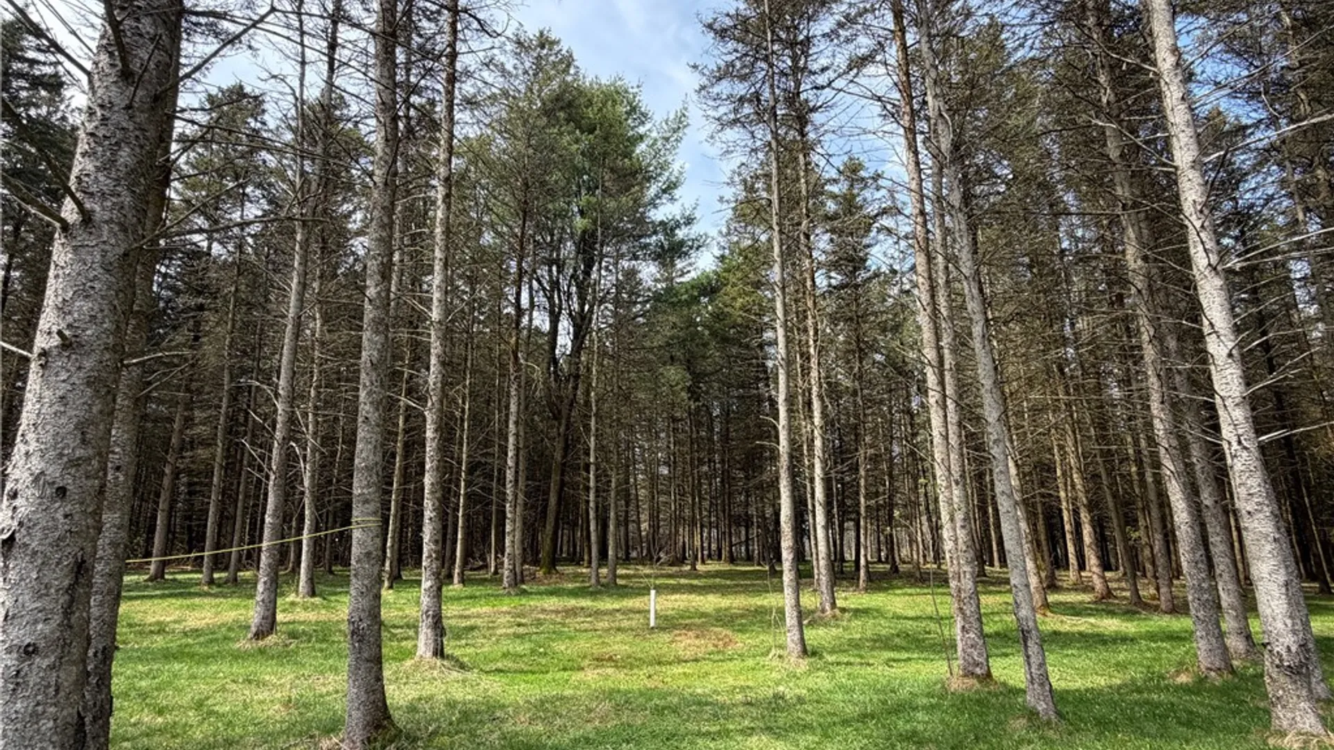 Property at 3453 Dutton, Clarksville, NY 14727 27