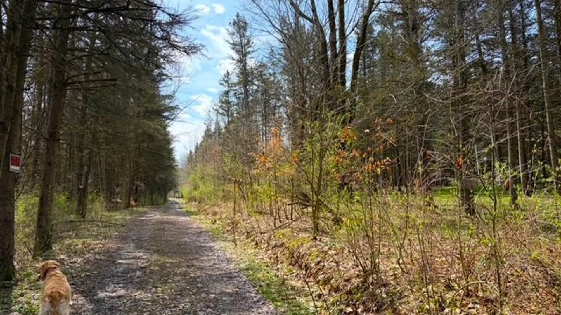 Property at 3453 Dutton, Clarksville, NY 14727 30