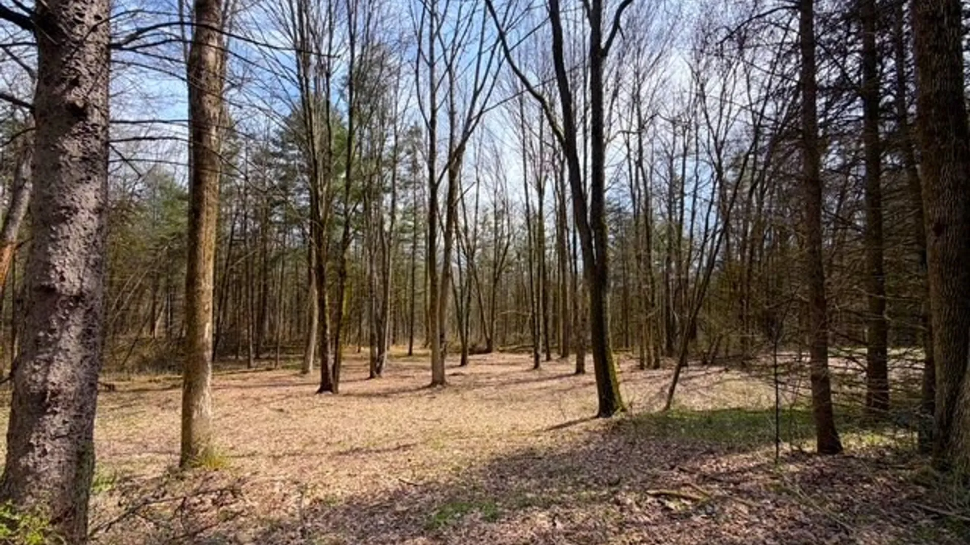 Property at 3453 Dutton, Clarksville, NY 14727 31