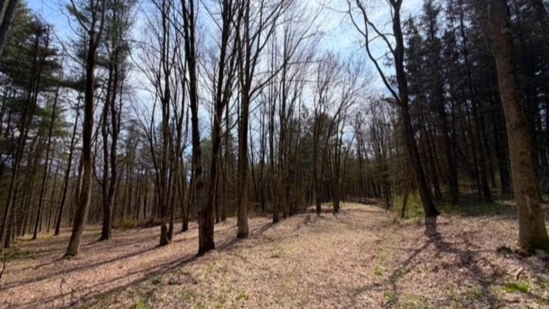 Property at 3453 Dutton, Clarksville, NY 14727 32