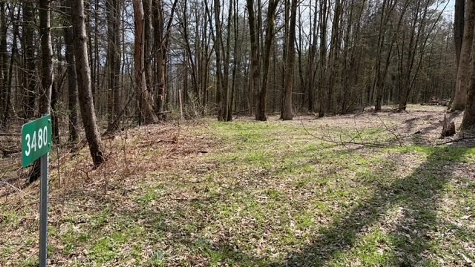 Property at 3453 Dutton, Clarksville, NY 14727 34