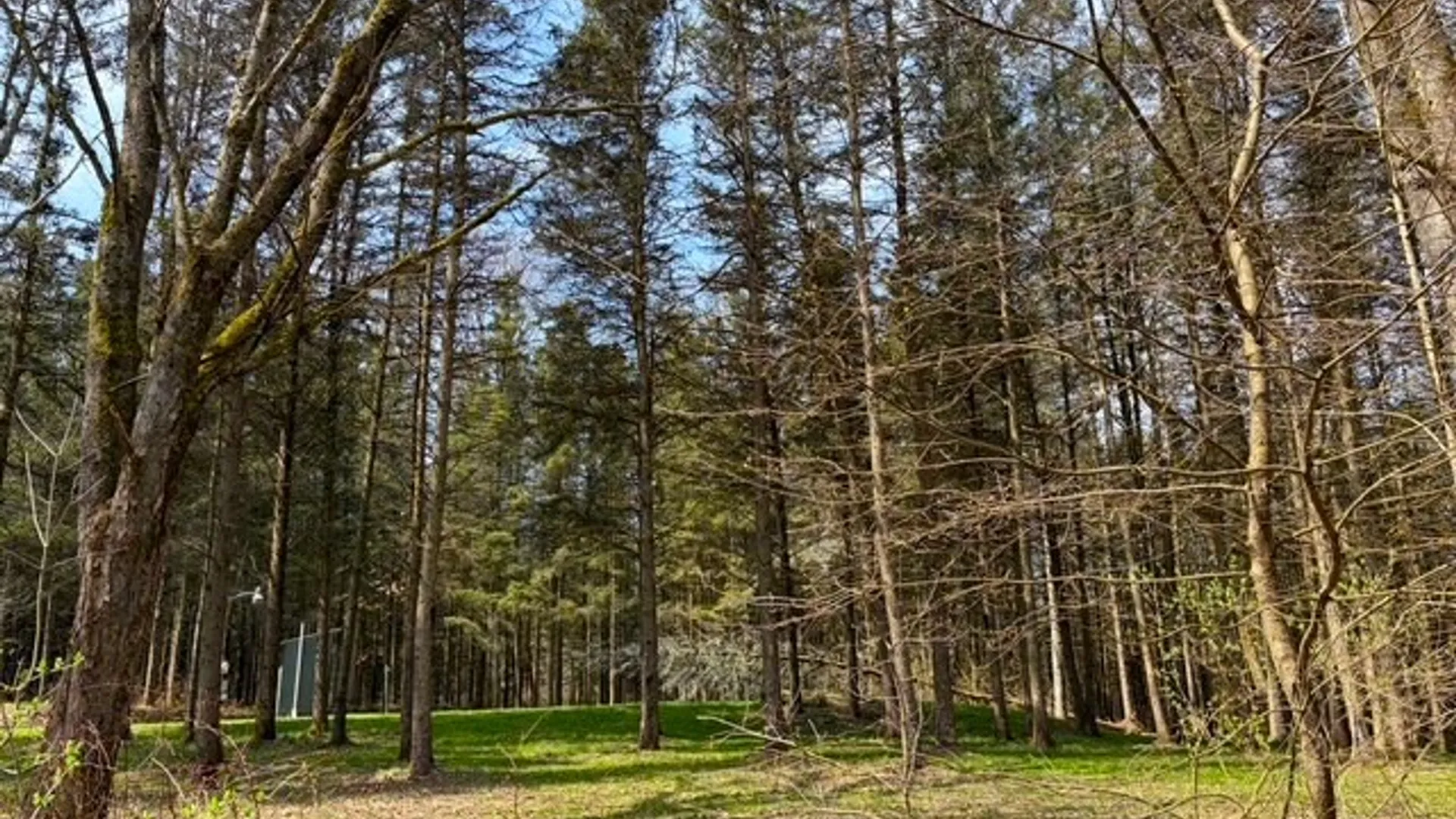 Property at 3453 Dutton, Clarksville, NY 14727 36