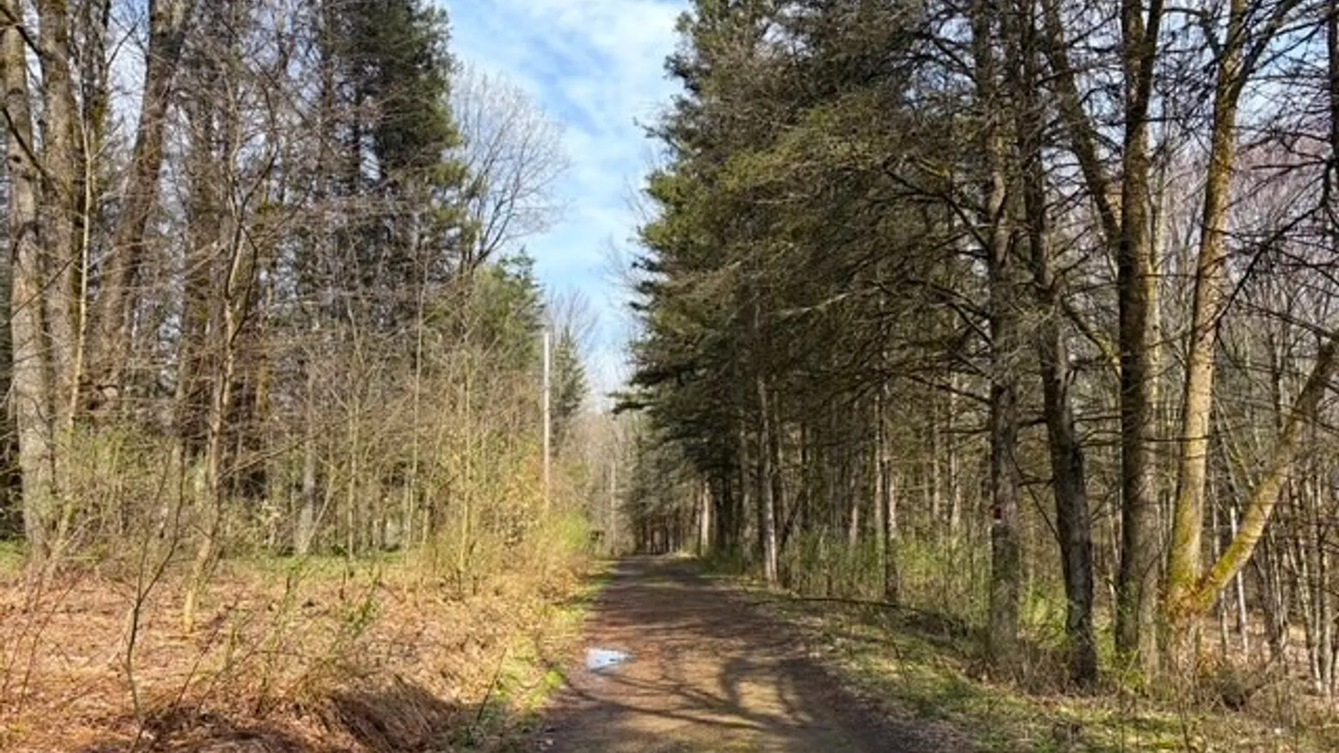 Property at 3453 Dutton, Clarksville, NY 14727 37