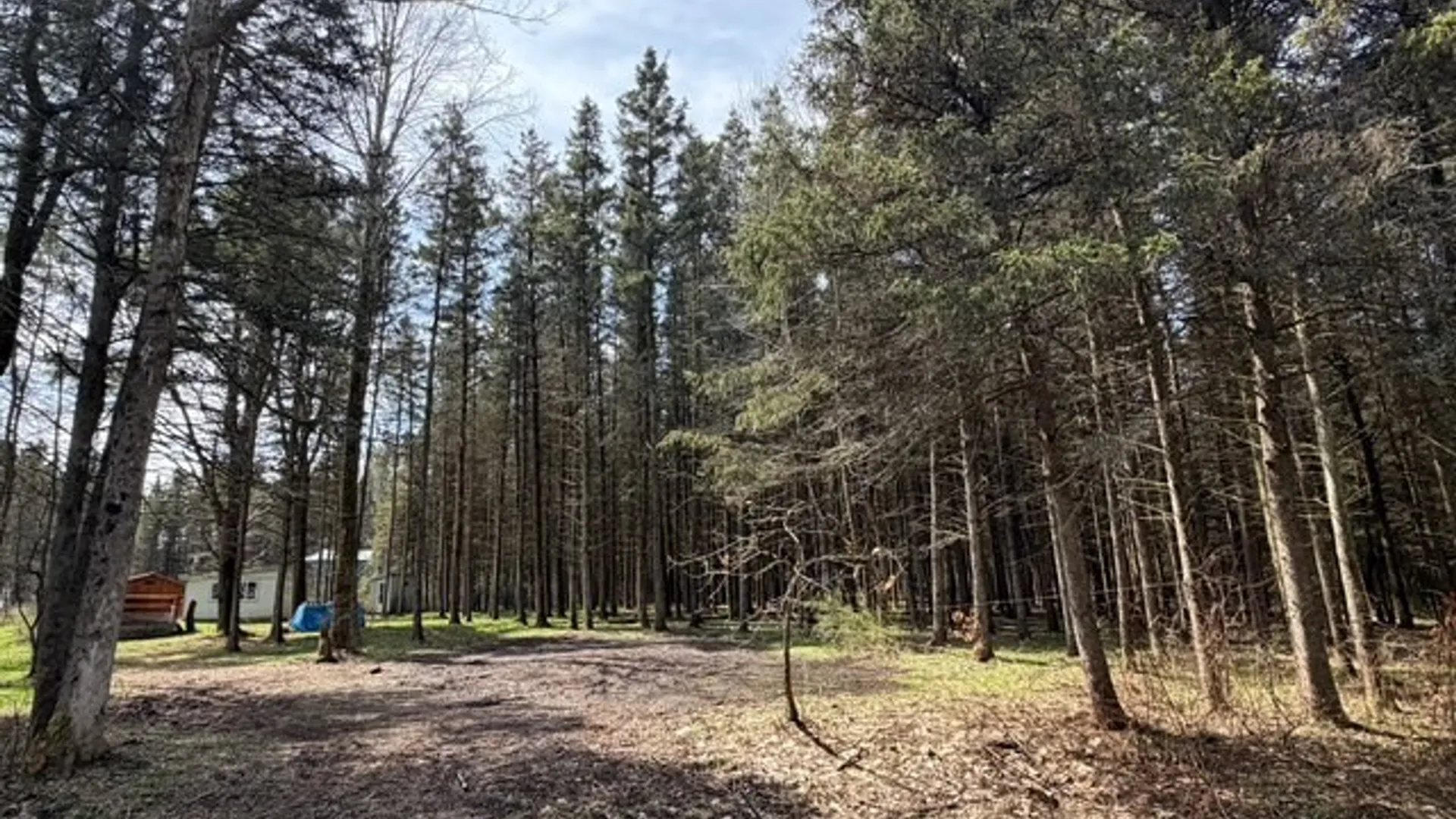 Property at 3453 Dutton, Clarksville, NY 14727 39