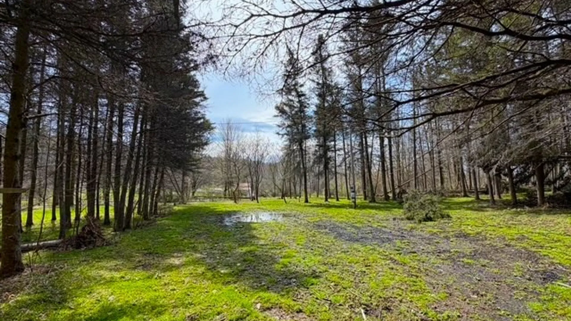 Property at 3453 Dutton, Clarksville, NY 14727 44