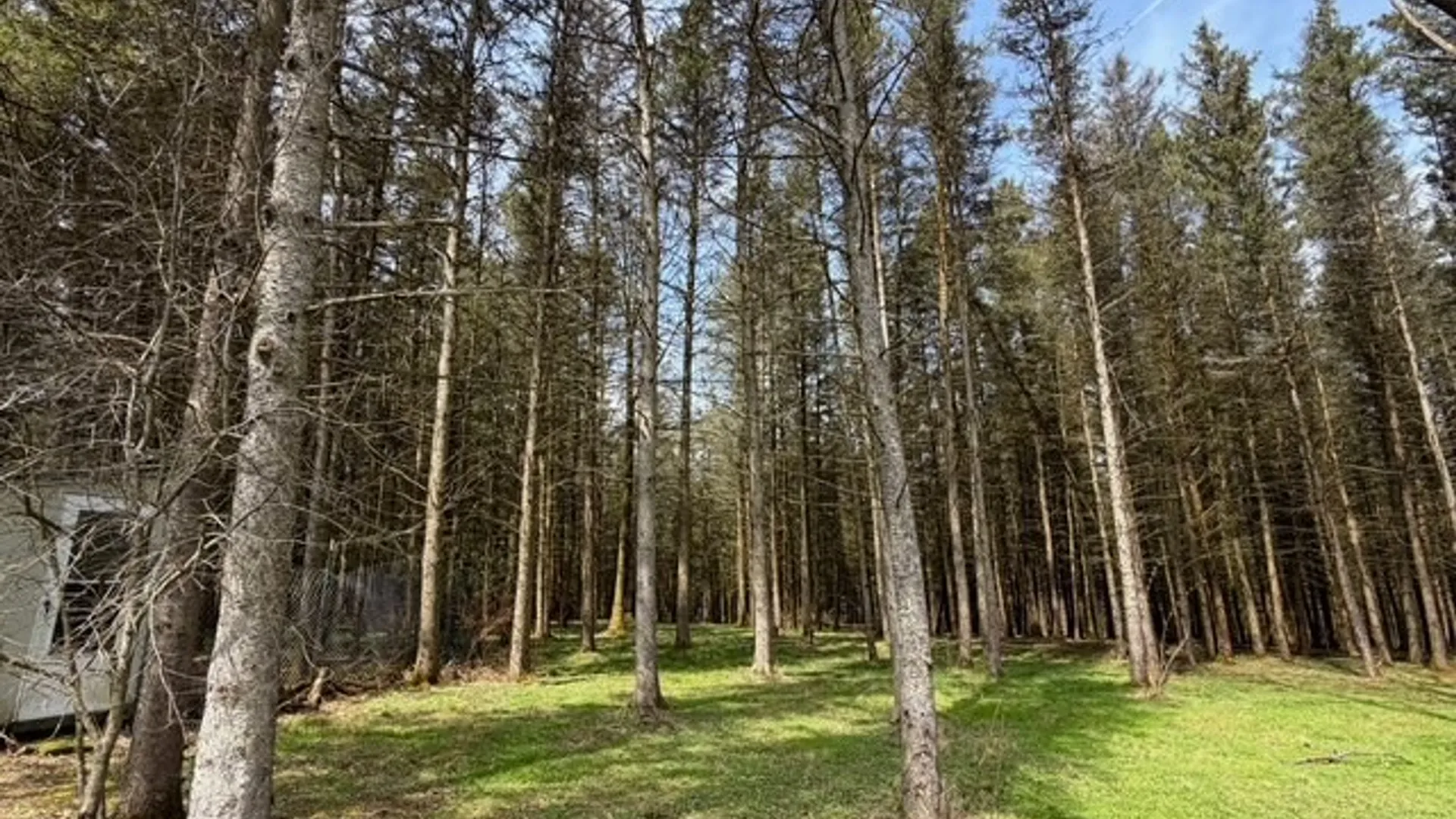 Property at 3453 Dutton, Clarksville, NY 14727 46