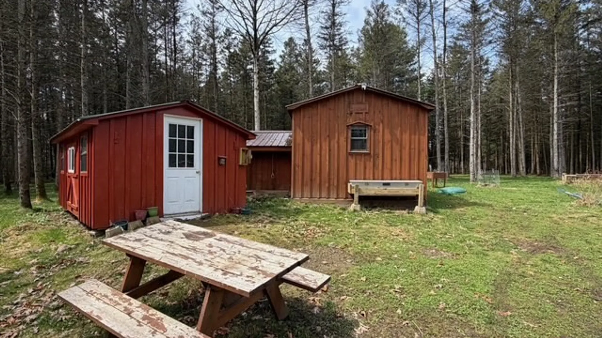 Property at 3453 Dutton, Clarksville, NY 14727 5