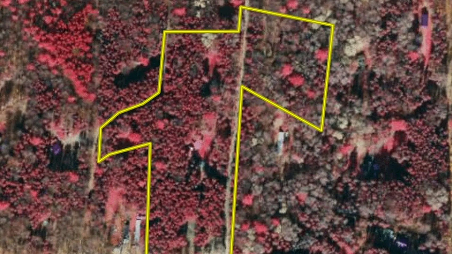 Property at 3453 Dutton, Clarksville, NY 14727 50