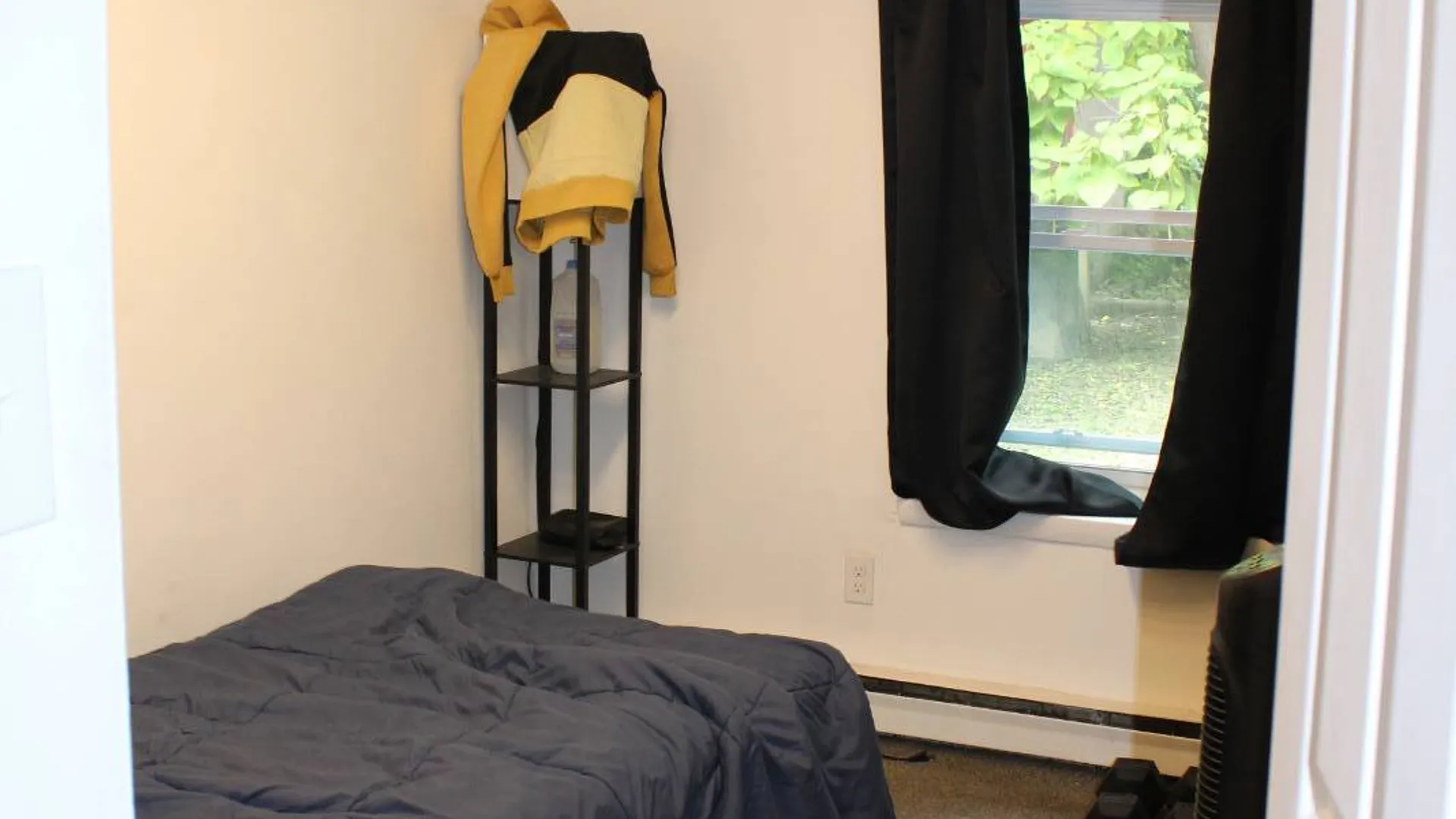 Property at 17 N Lake Ave, Albany, NY 12203 13