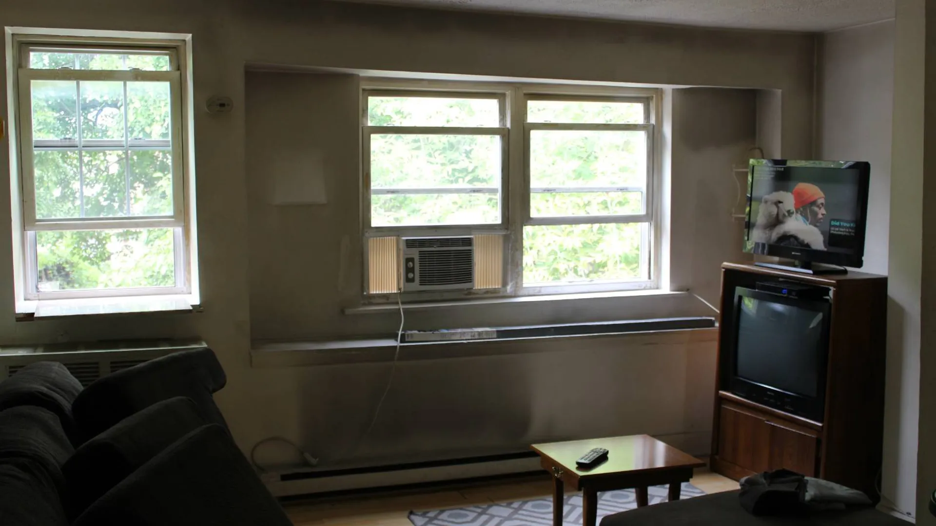 Property at 17 N Lake Ave, Albany, NY 12203 19