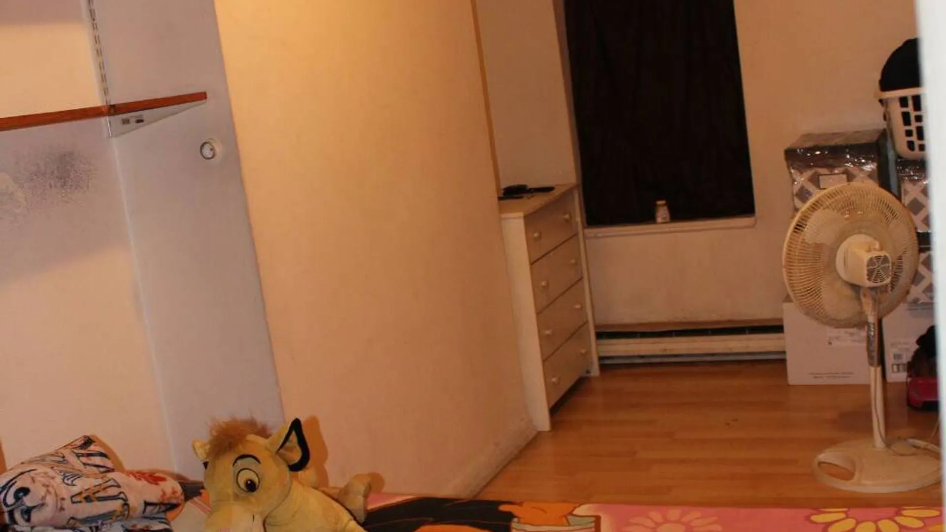 Property at 17 N Lake Ave, Albany, NY 12203 23