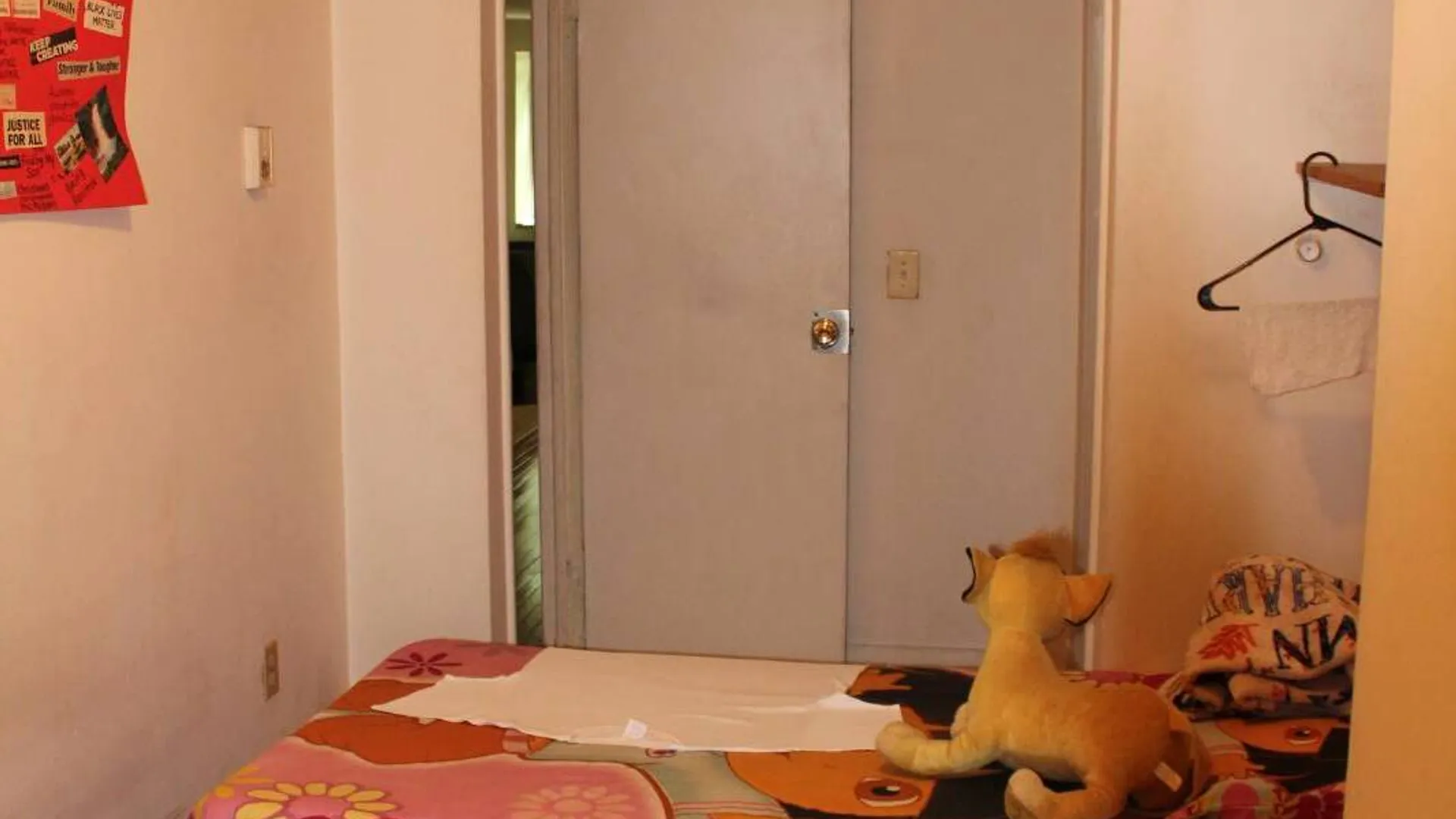 Property at 17 N Lake Ave, Albany, NY 12203 24