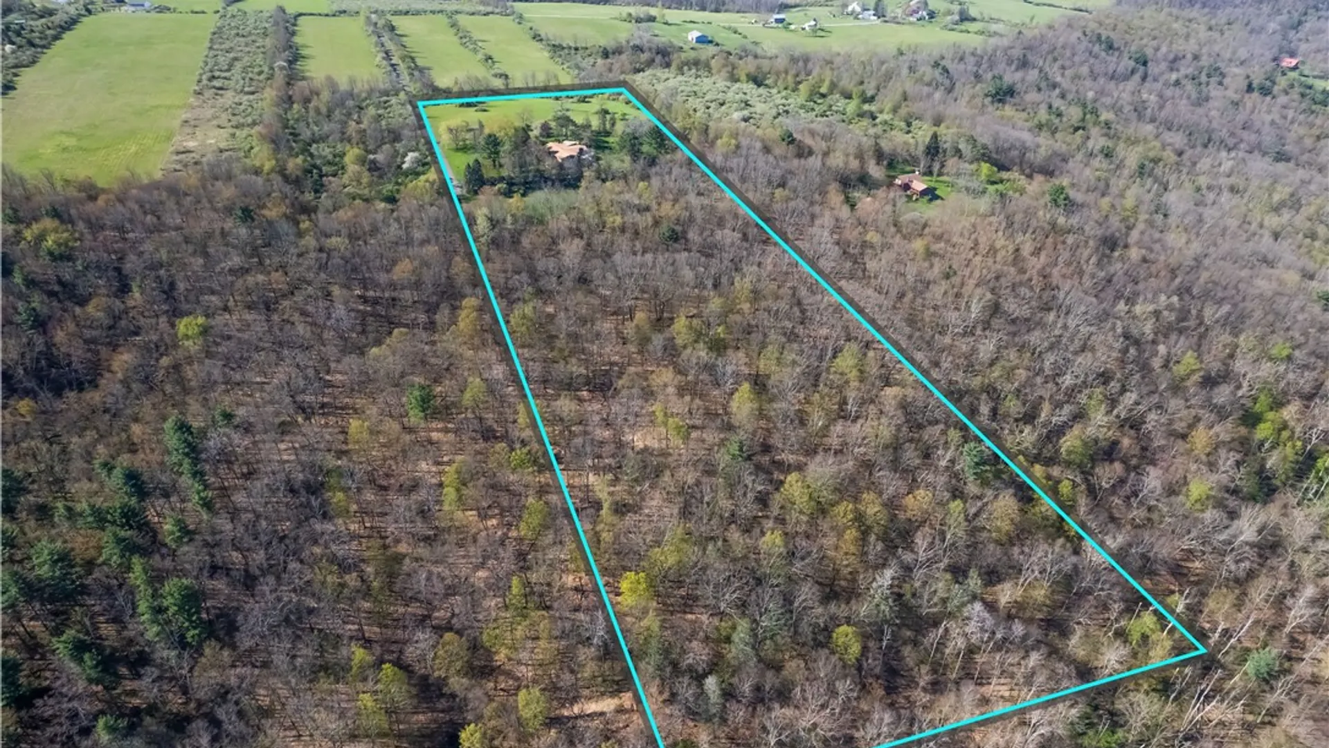 Property at 305 Michele Lane, PA 18840 48