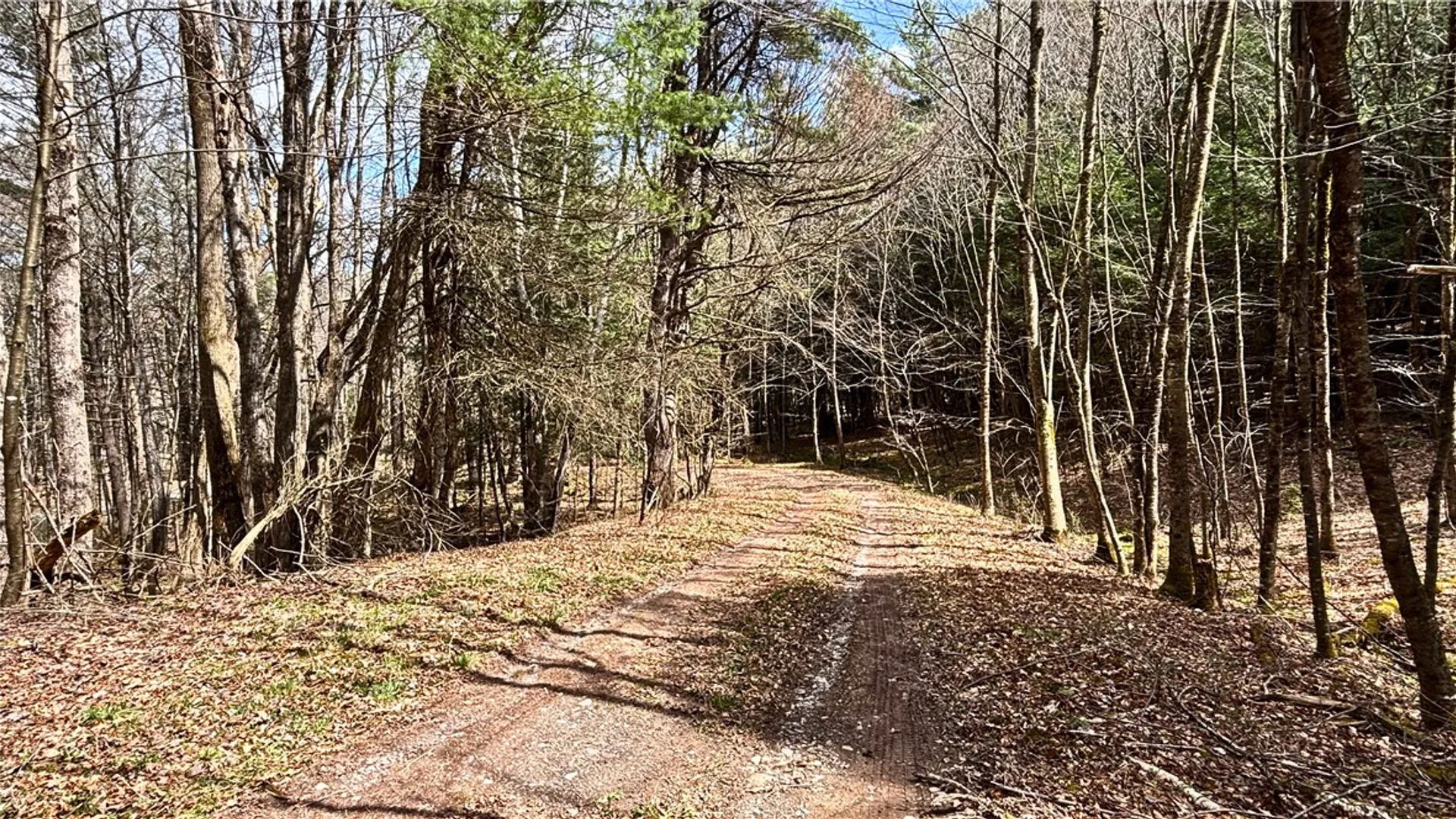 Property at Lot 6.15 Little Beaver Creek Lane, Blenheim, NY 12093 31