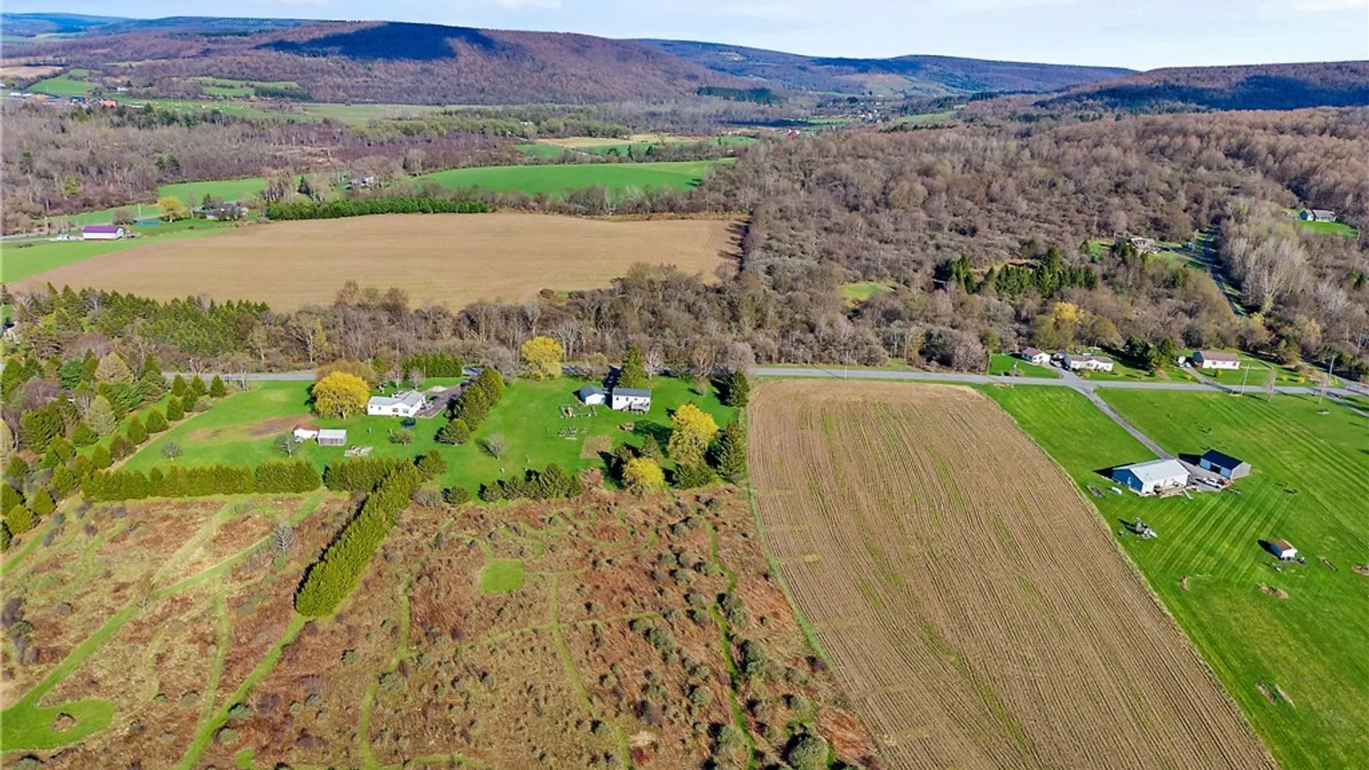 Property at 1085 Shackham Road, Fabius, NY 13063 42