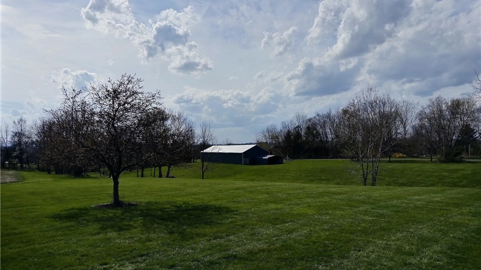 Property at 295 Buck Road, Lansing, NY 14882 37