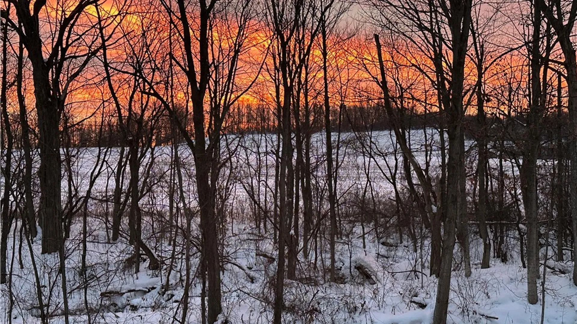 Property at 4425 Belleflower Circle, Onondaga, NY 13215 36