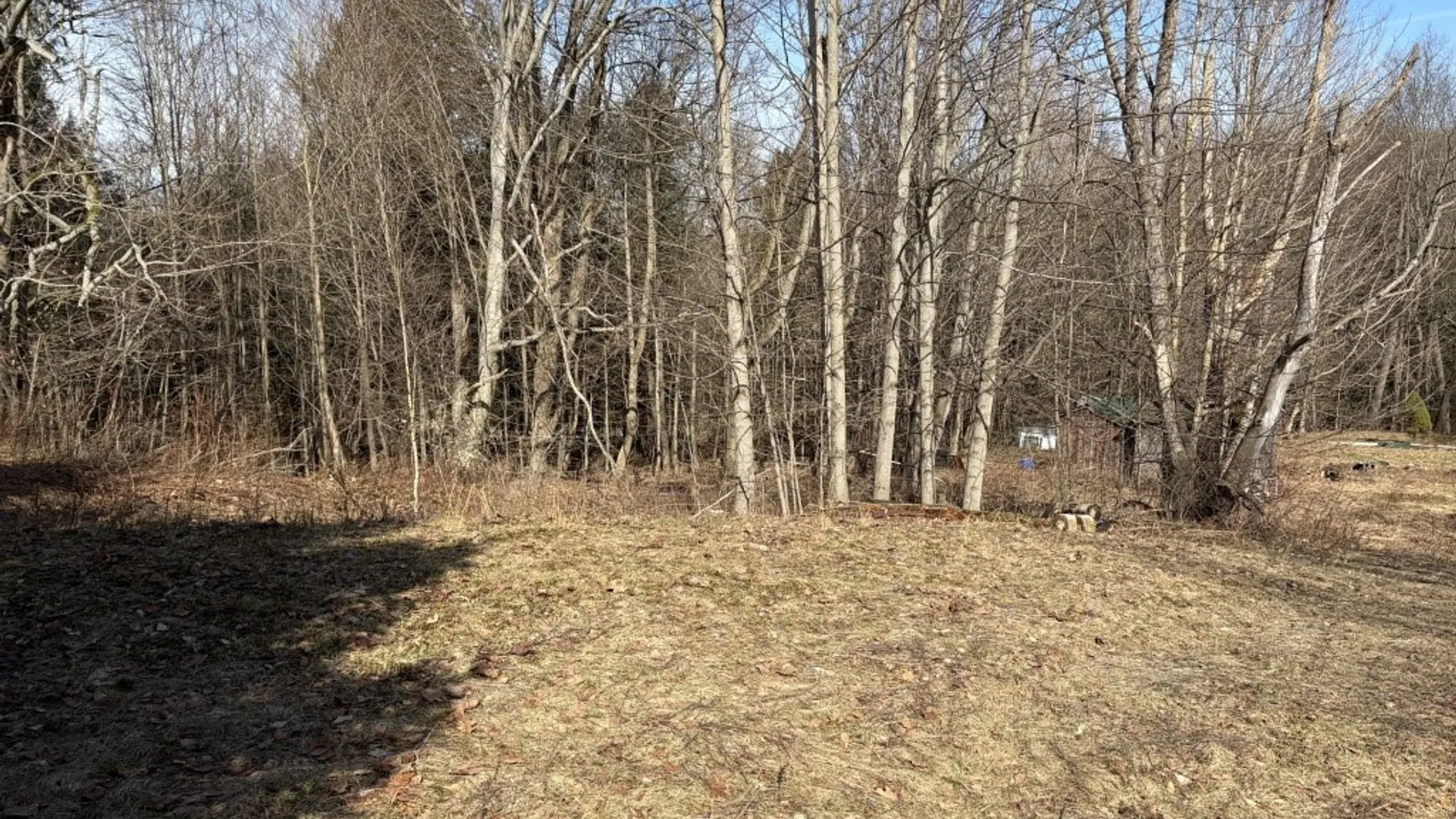 Property at 1784 Emory Hill Road, Carroll, NY 14738 4