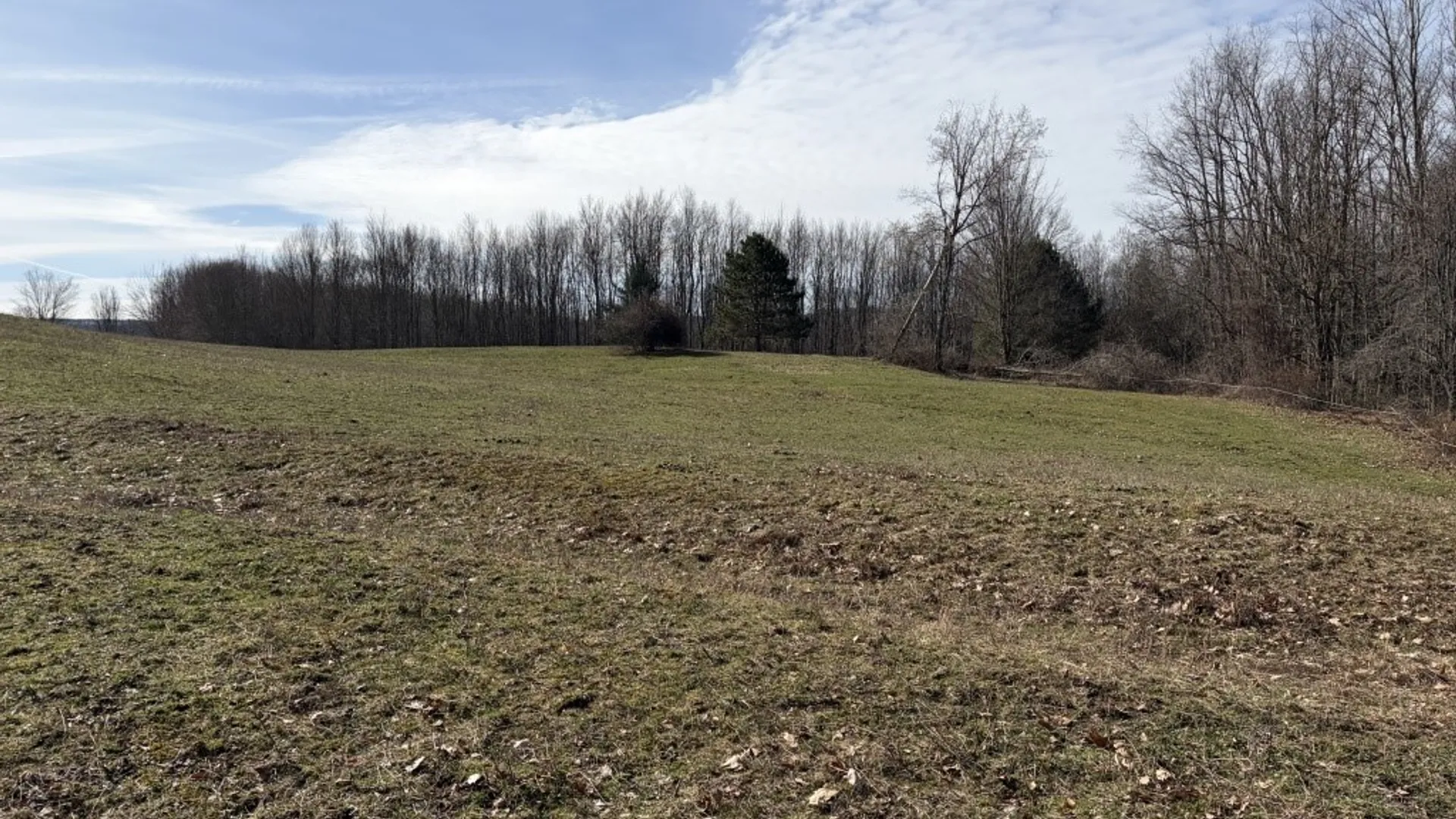 Property at 1784 Emory Hill Road, Carroll, NY 14738 5