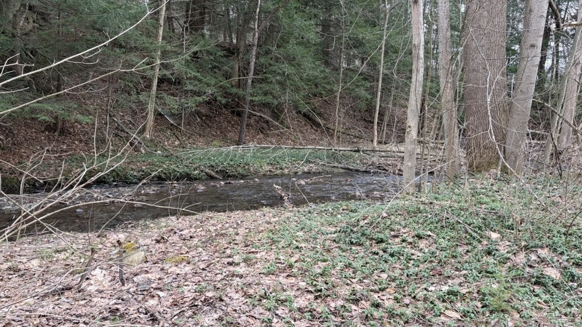 Property at 1760 Emory Hill Road, Carroll, NY 14738 3