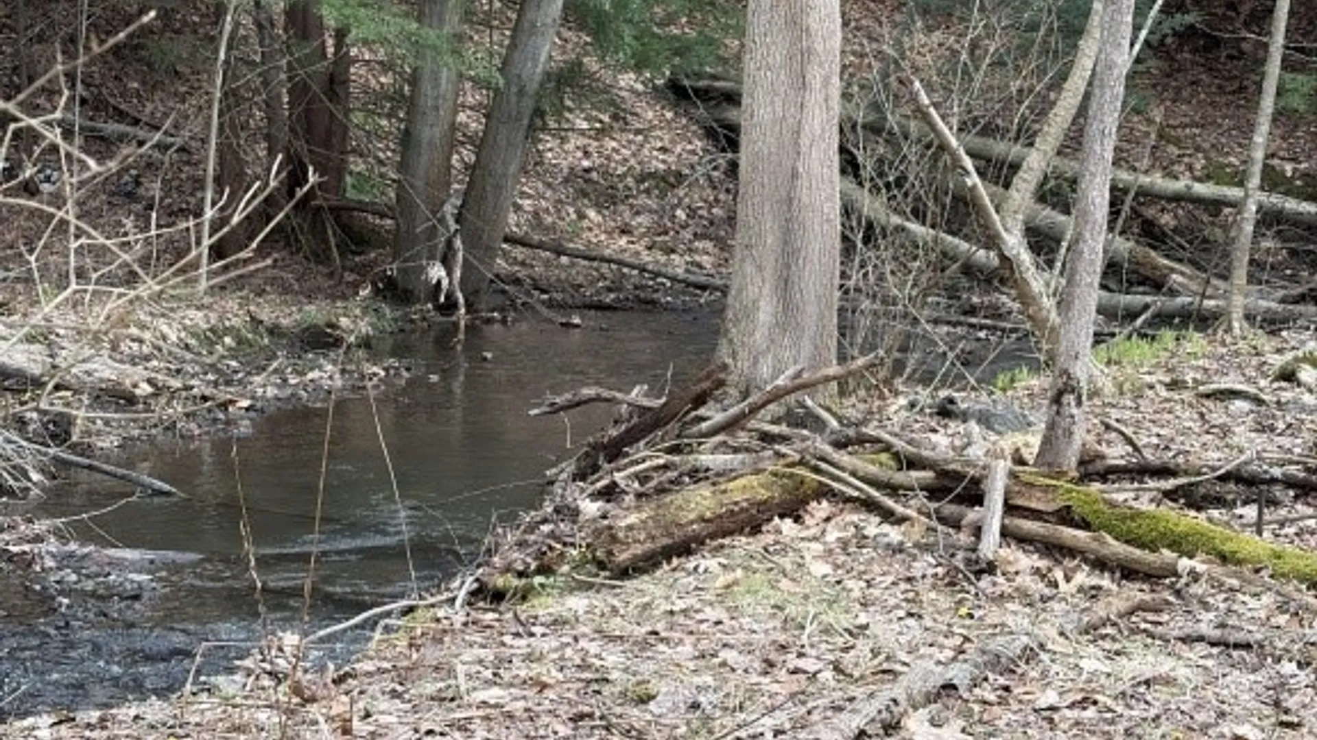 Property at 1760 Emory Hill Road, Carroll, NY 14738 4