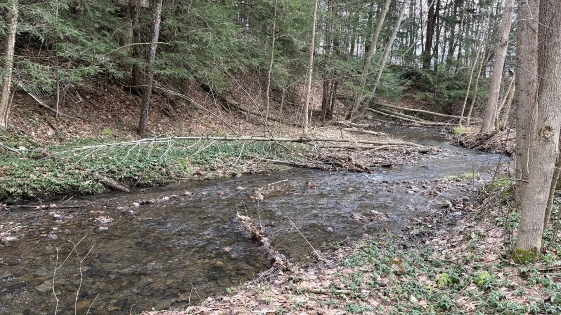 Property at 1760 Emory Hill Road, Carroll, NY 14738 5