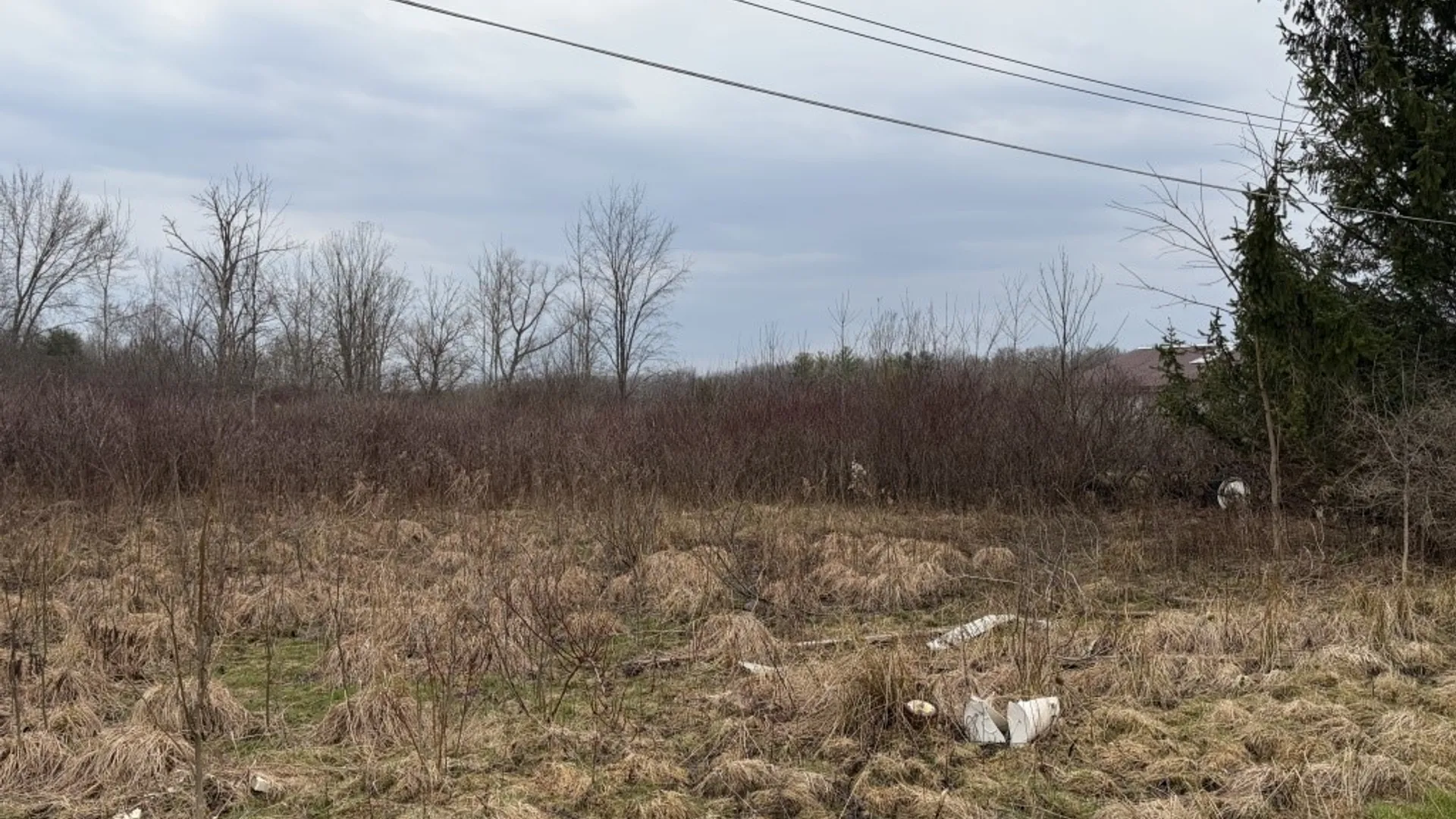 Property at S Pearl Street, Carroll, NY 14738 3